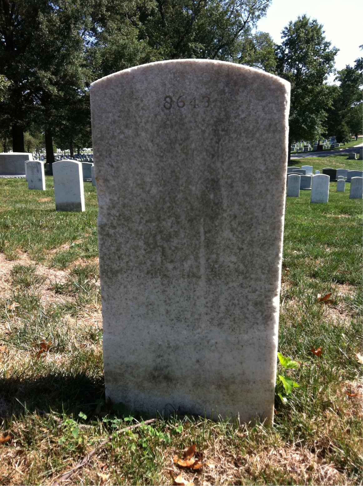 Back of headstone — Ludvik Anderson