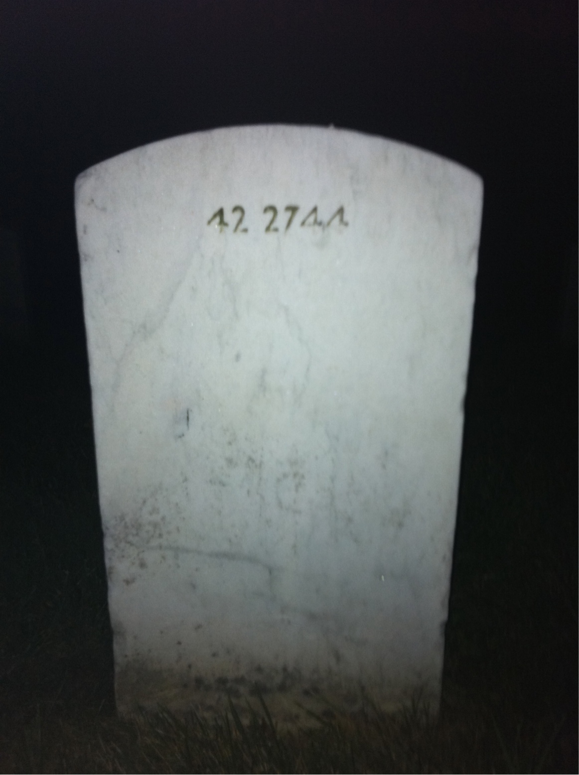 Back of headstone — Lucious Alexander