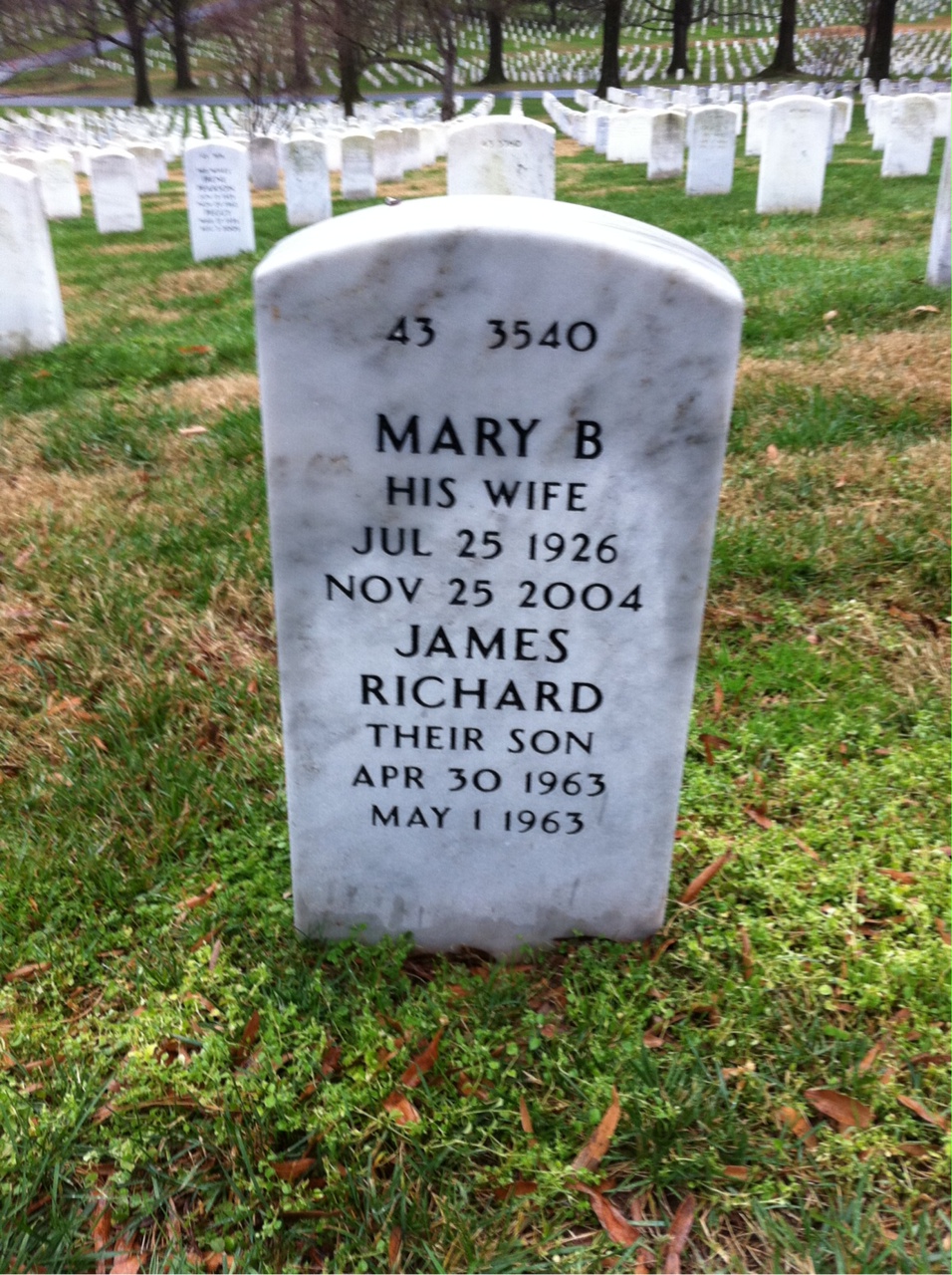 Back of headstone — Robert Weddle