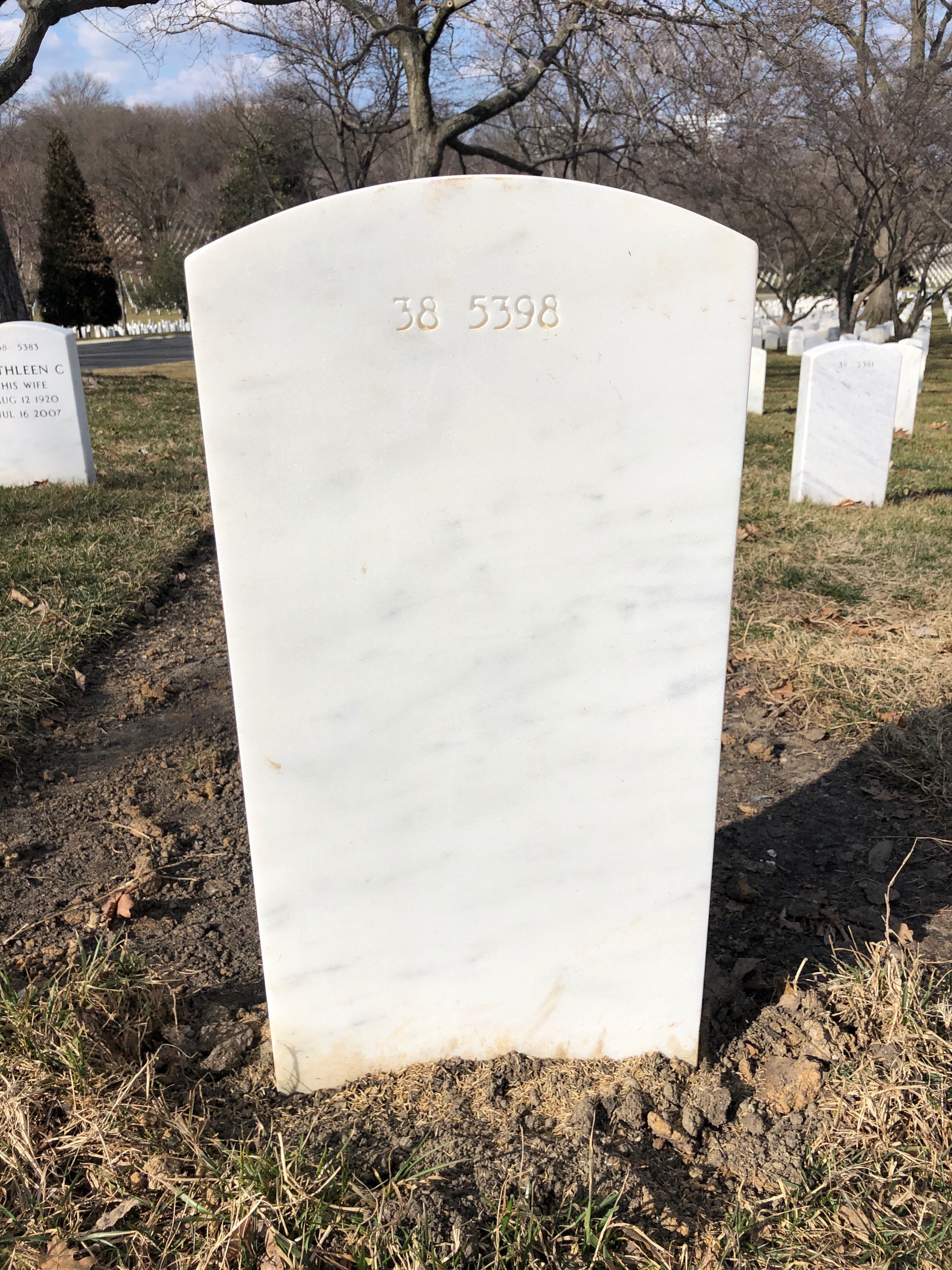 Back of headstone — Leroy Alexander