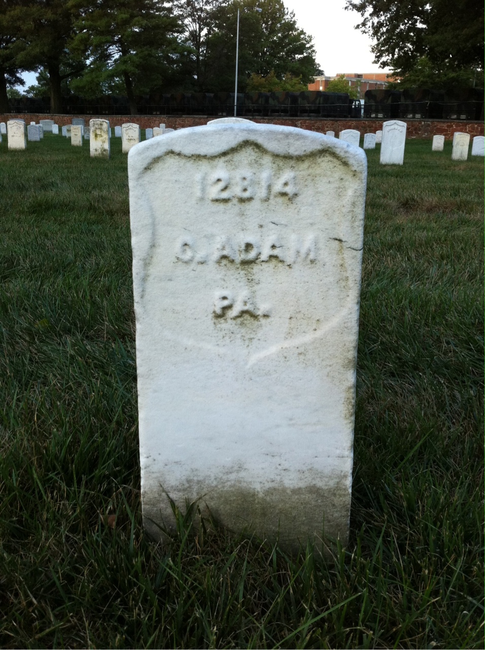 C Adam