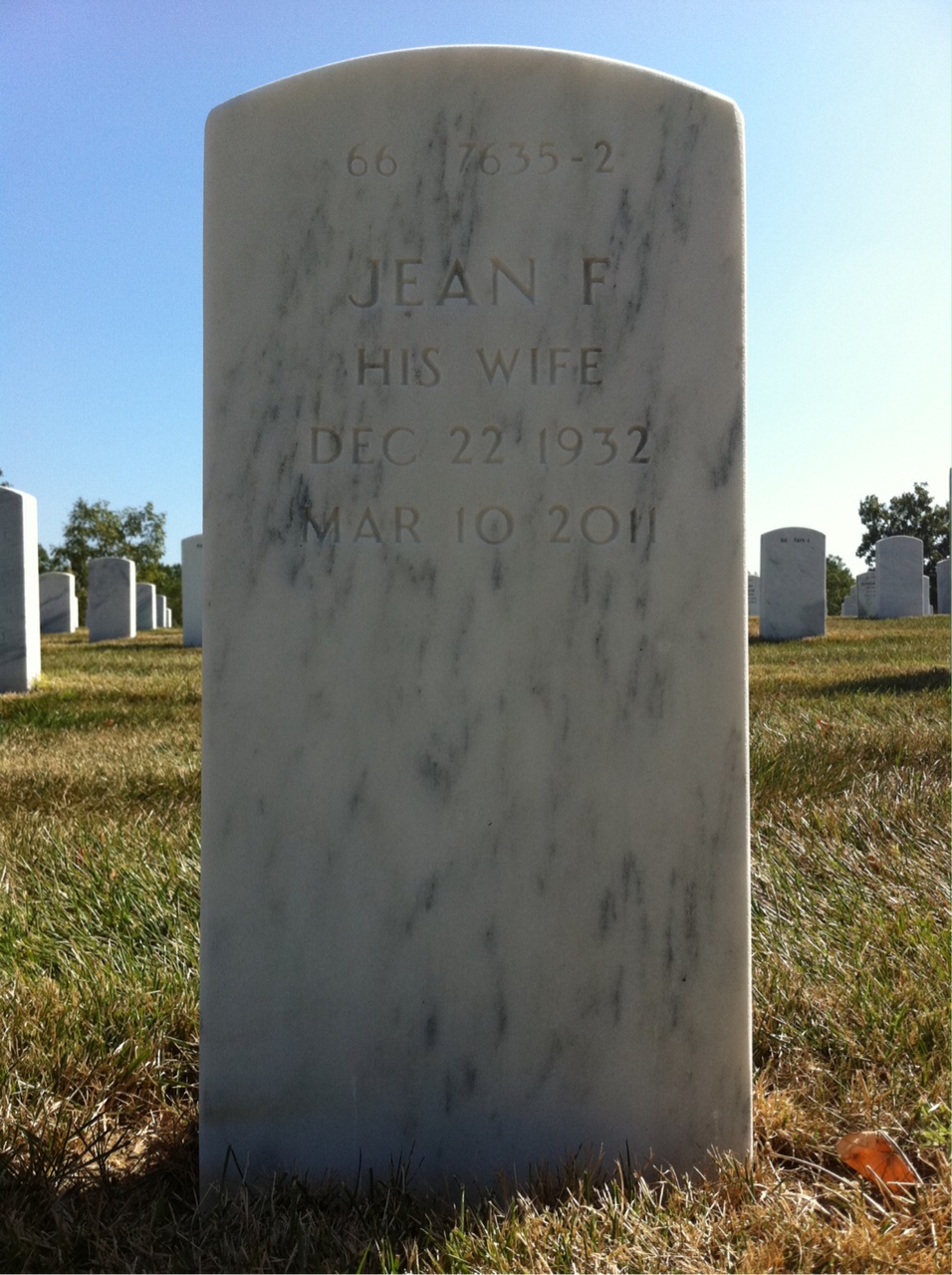 Back of headstone — Saverio Napolitano