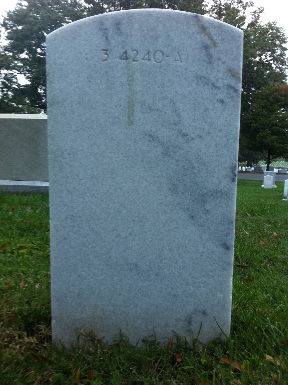 Back of headstone — Arlene Moran