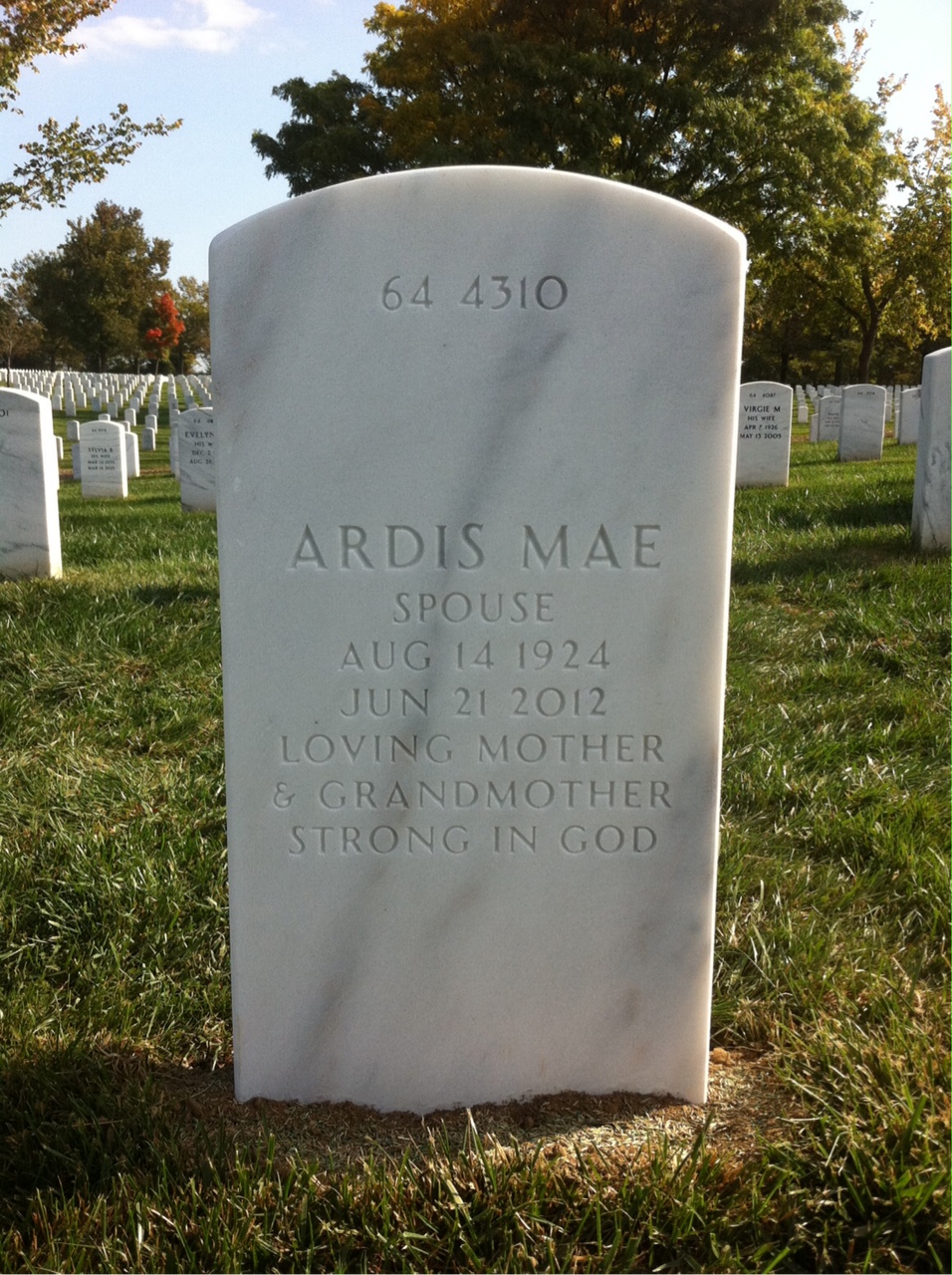 Back of headstone — Albert Blaha