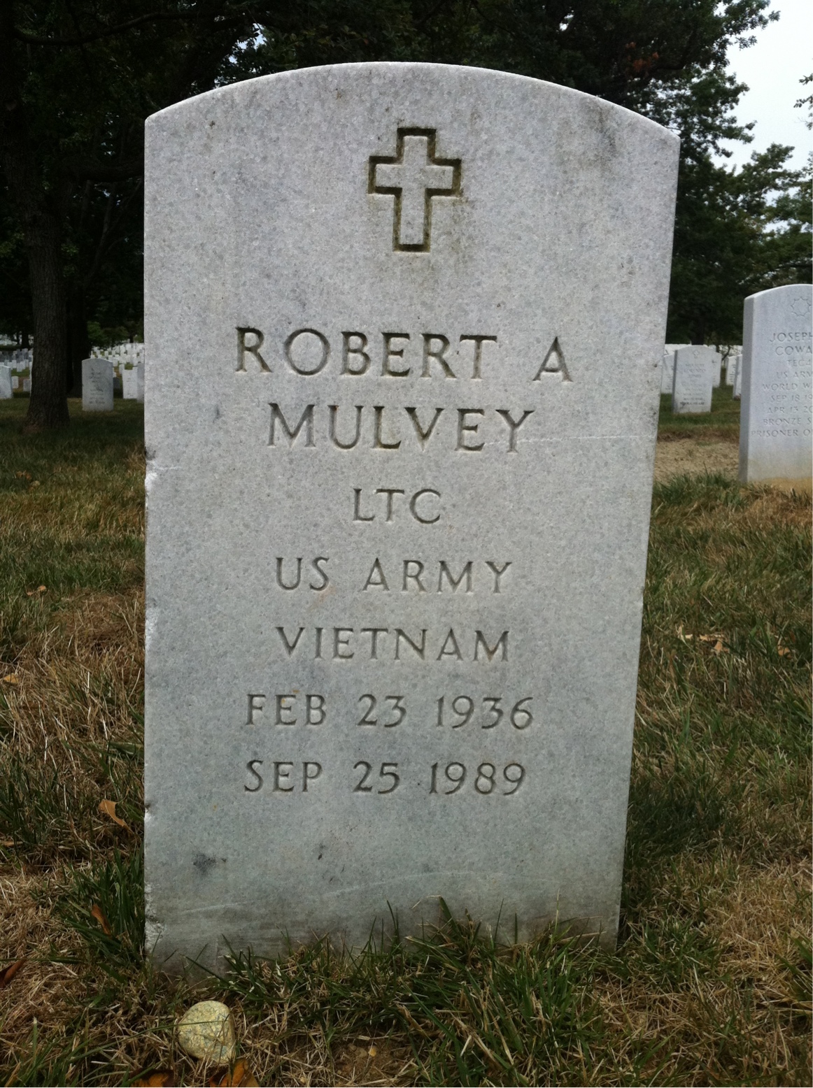 Robert Mulvey