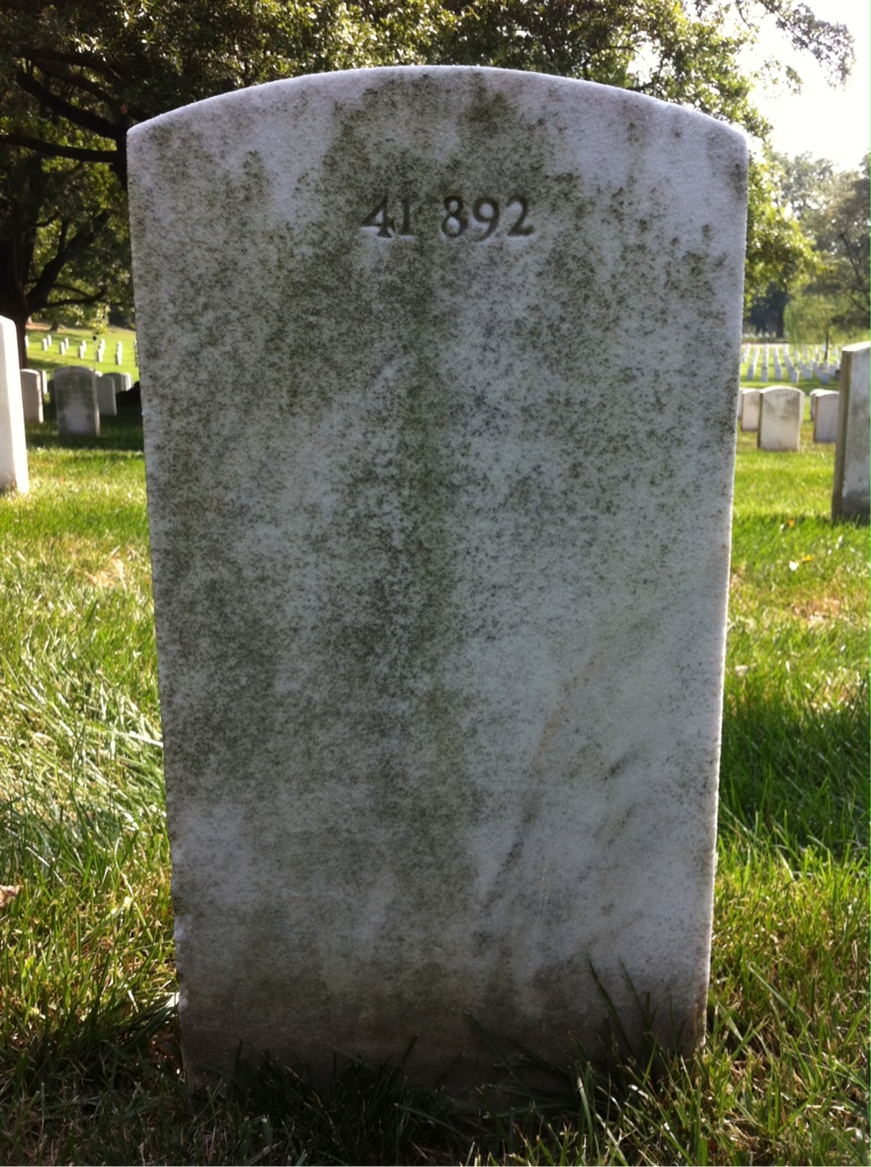 Back of headstone — Bayard Alcorn