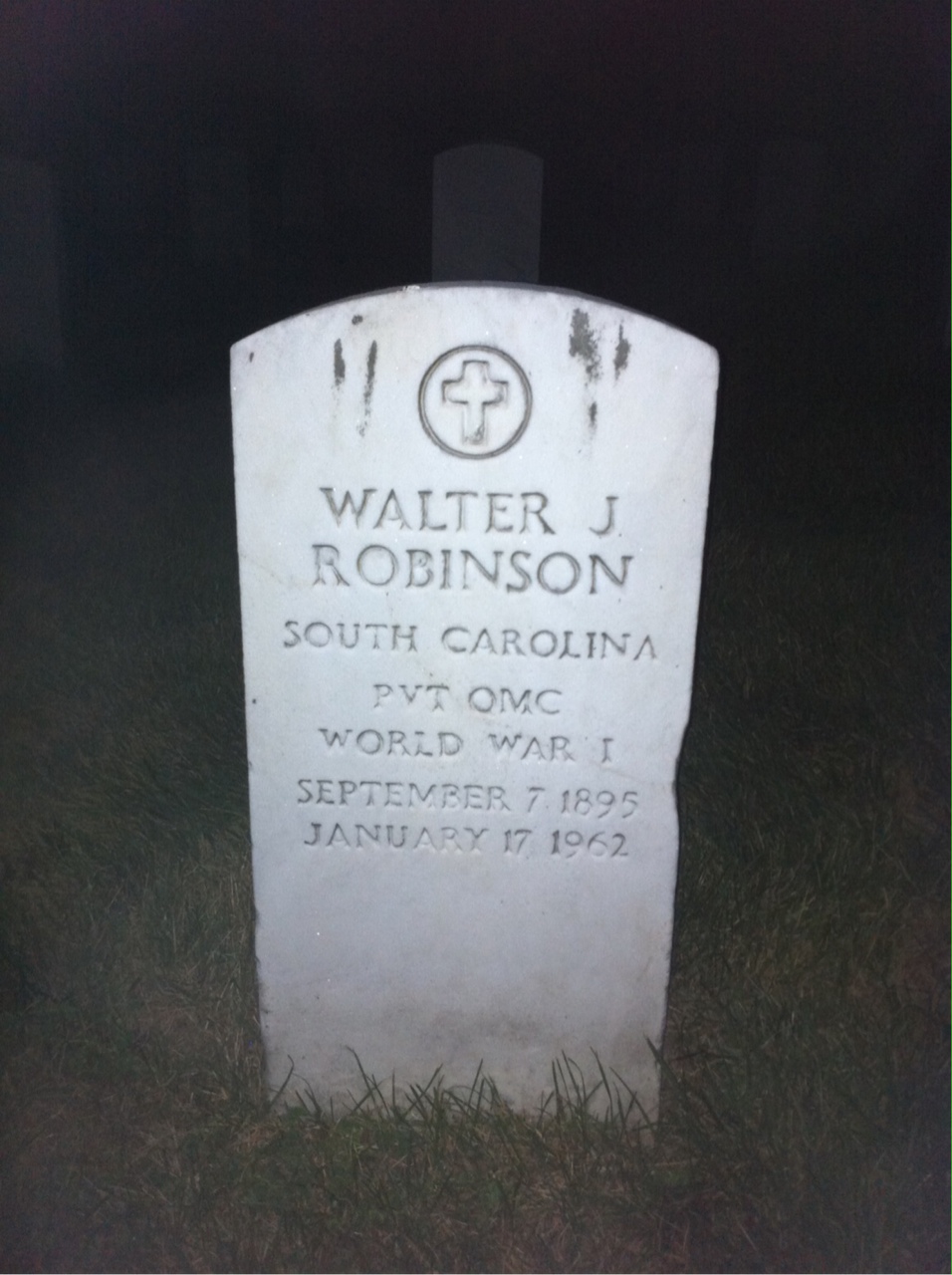 Walter C Robinson