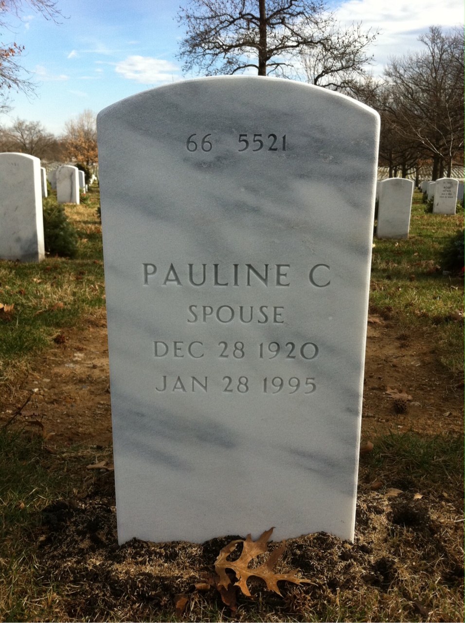Back of headstone — William Mcnamara