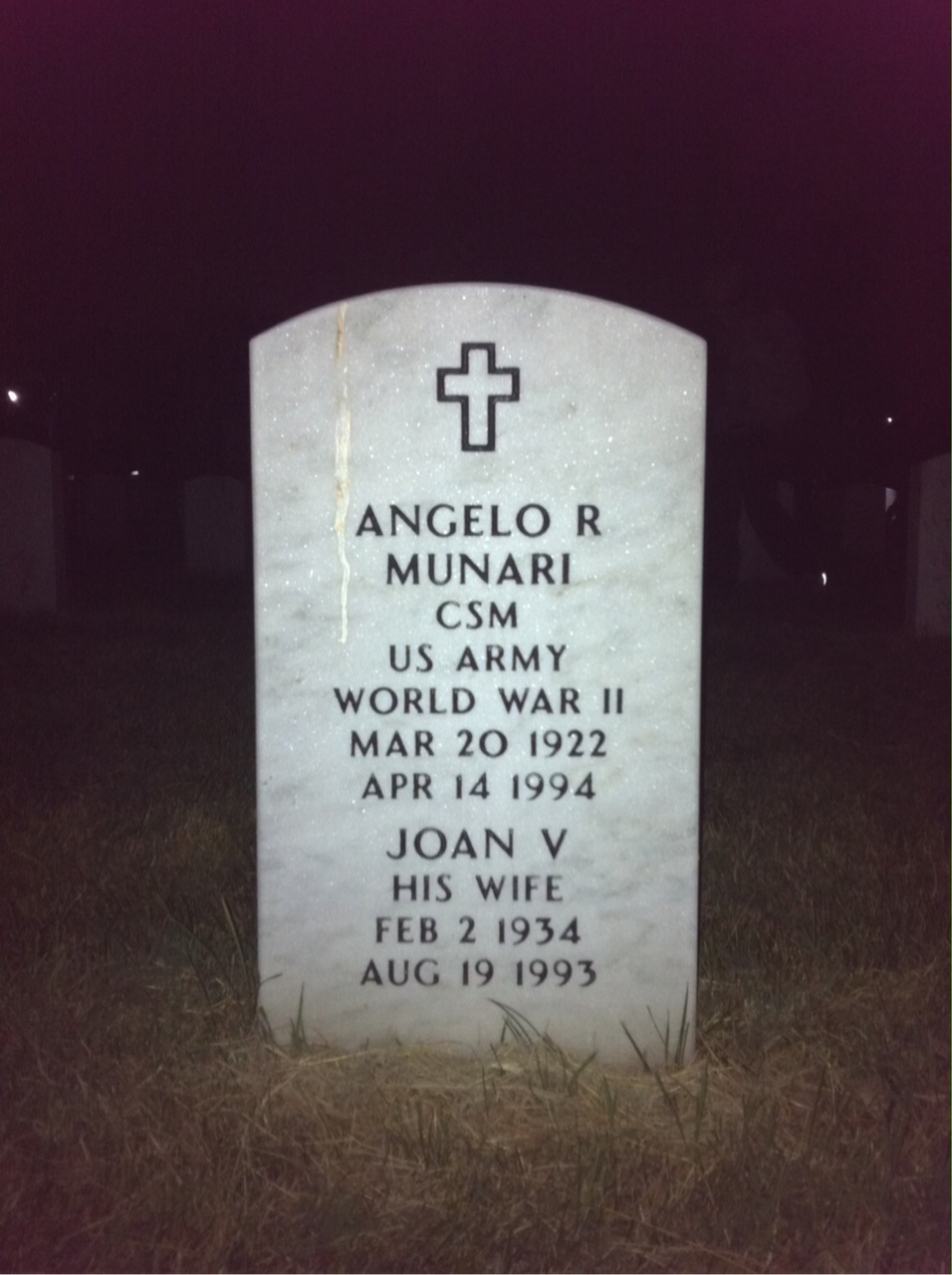Angelo Munari