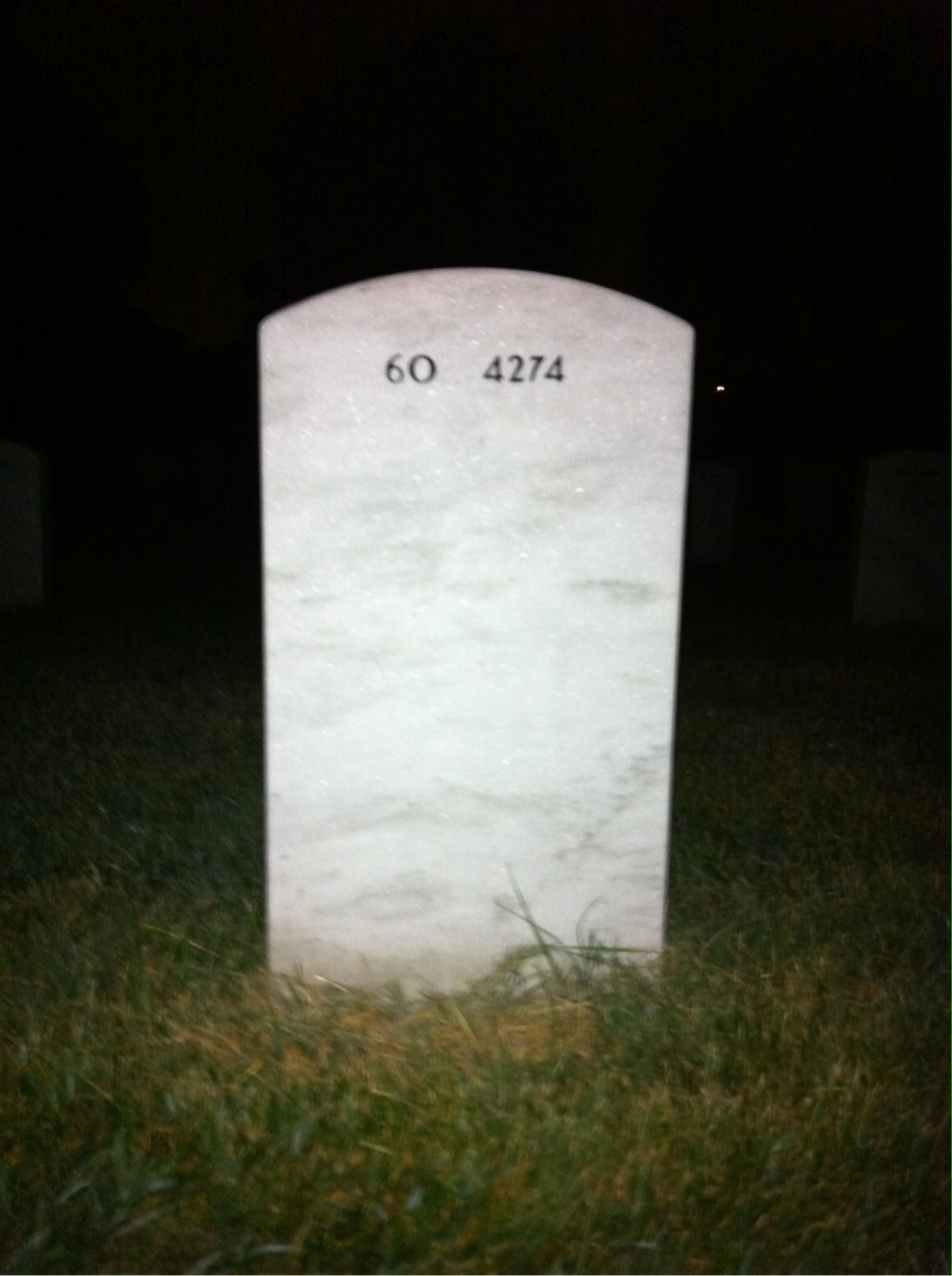 Back of headstone — David Shultz