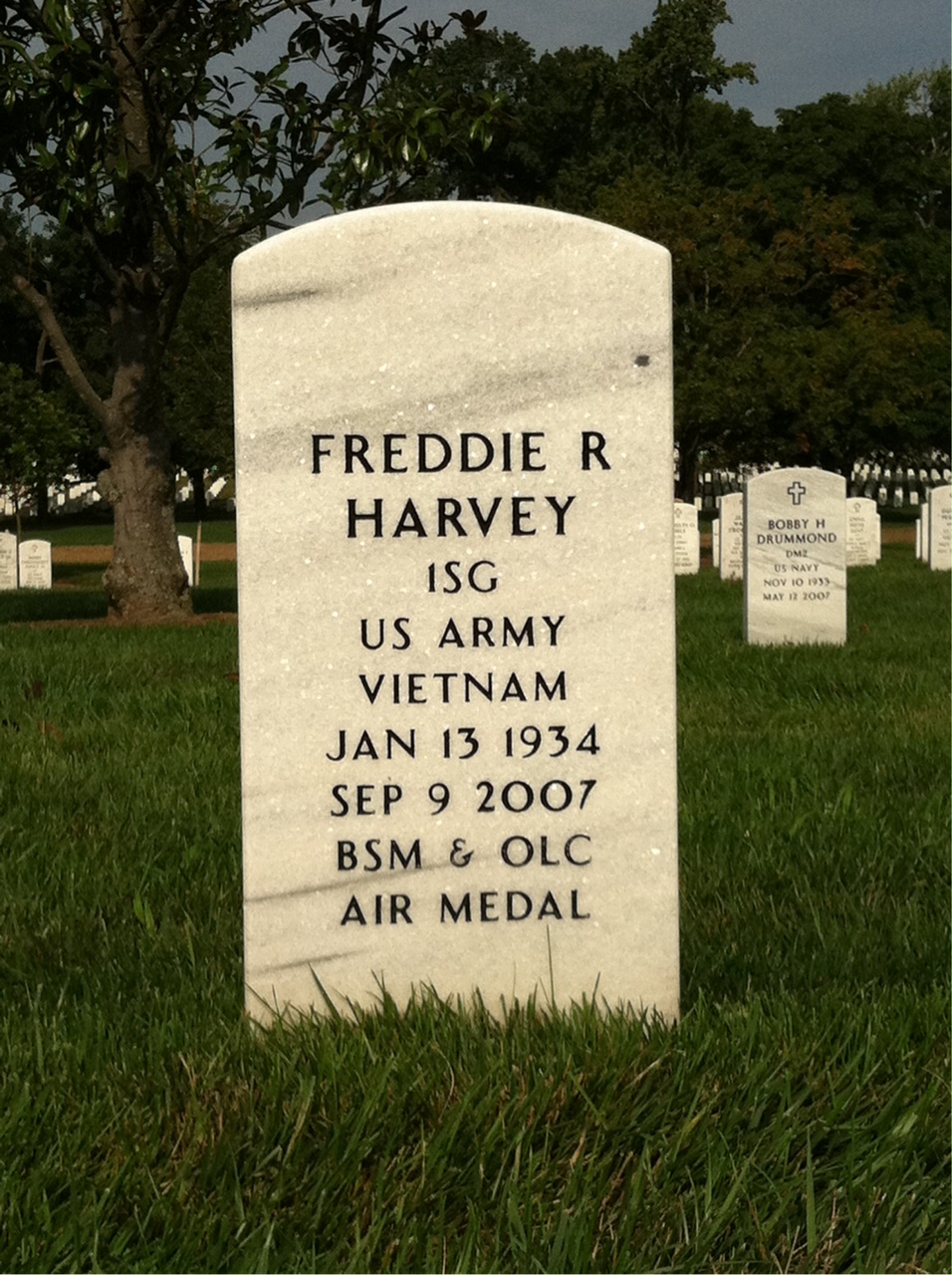 Freddie Harvey