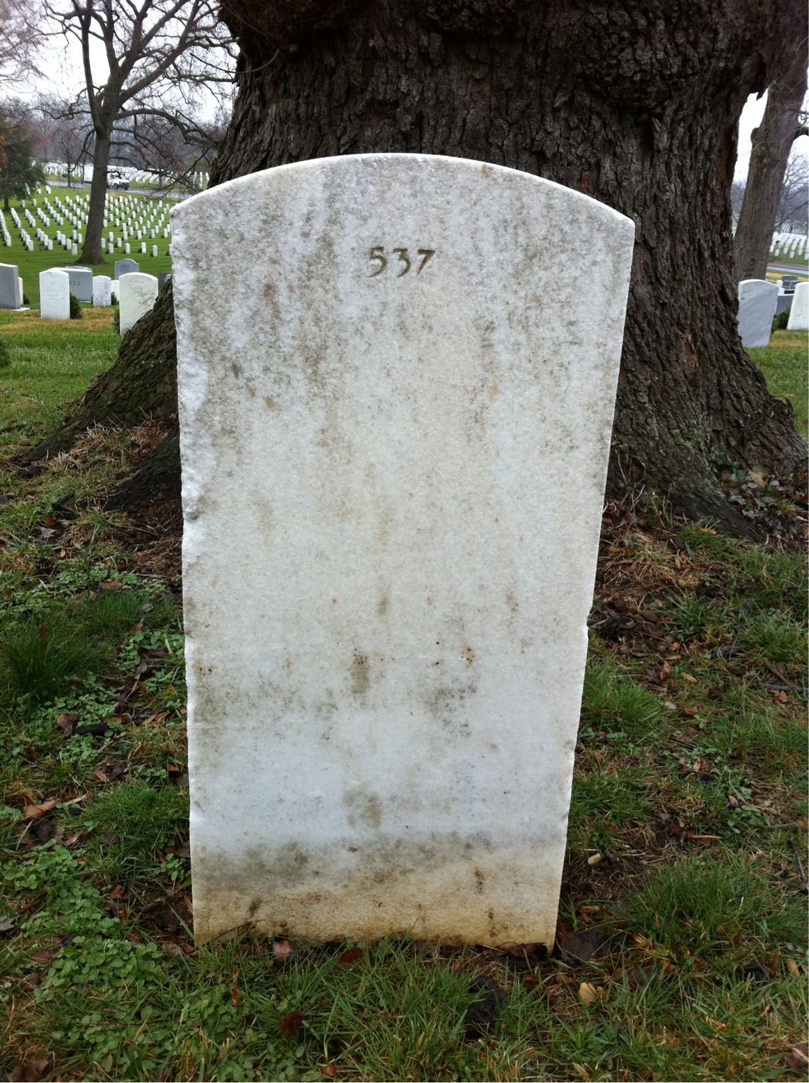 Back of headstone — Herbert Bigelow