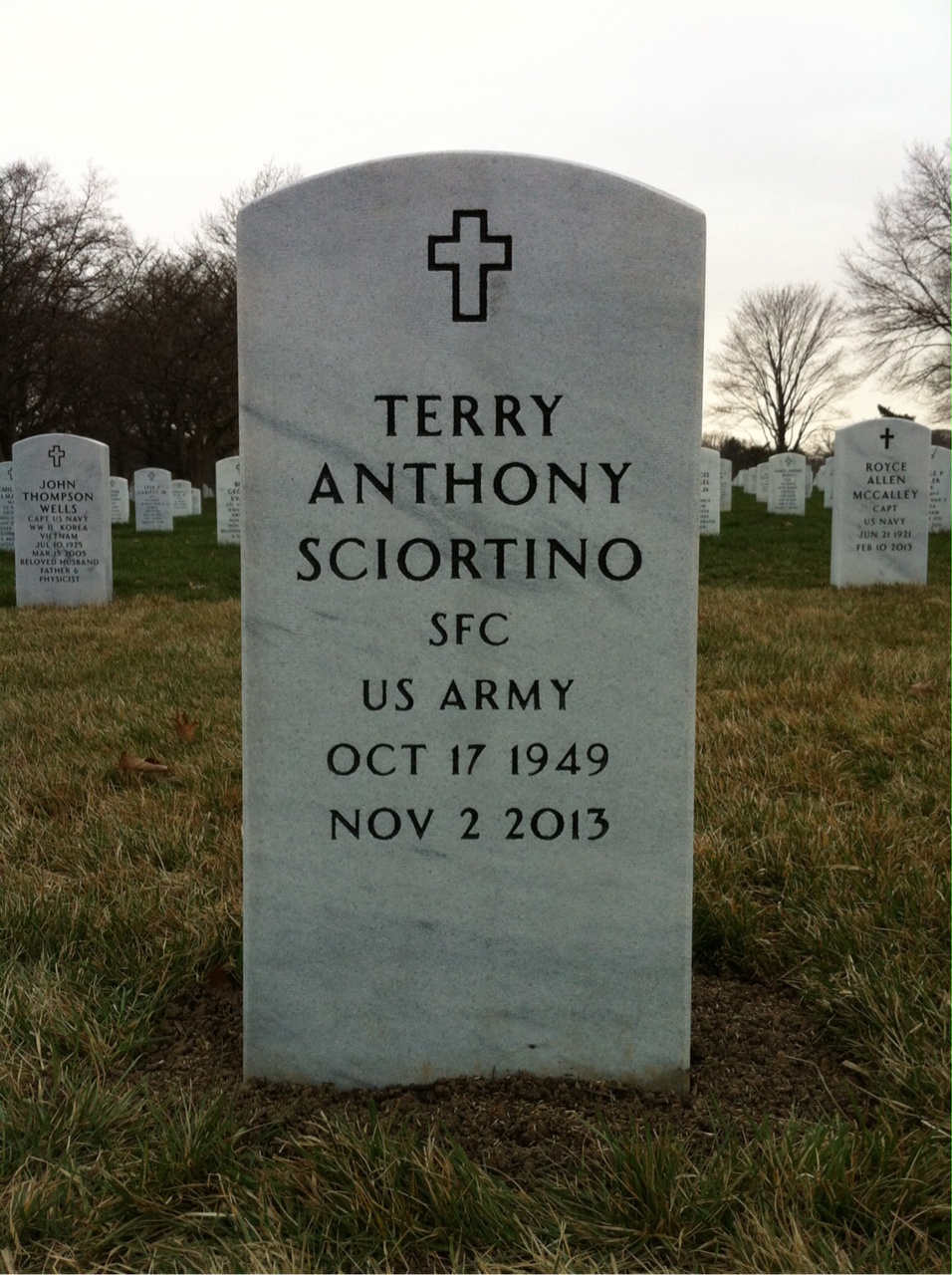 Terry A Sciortino