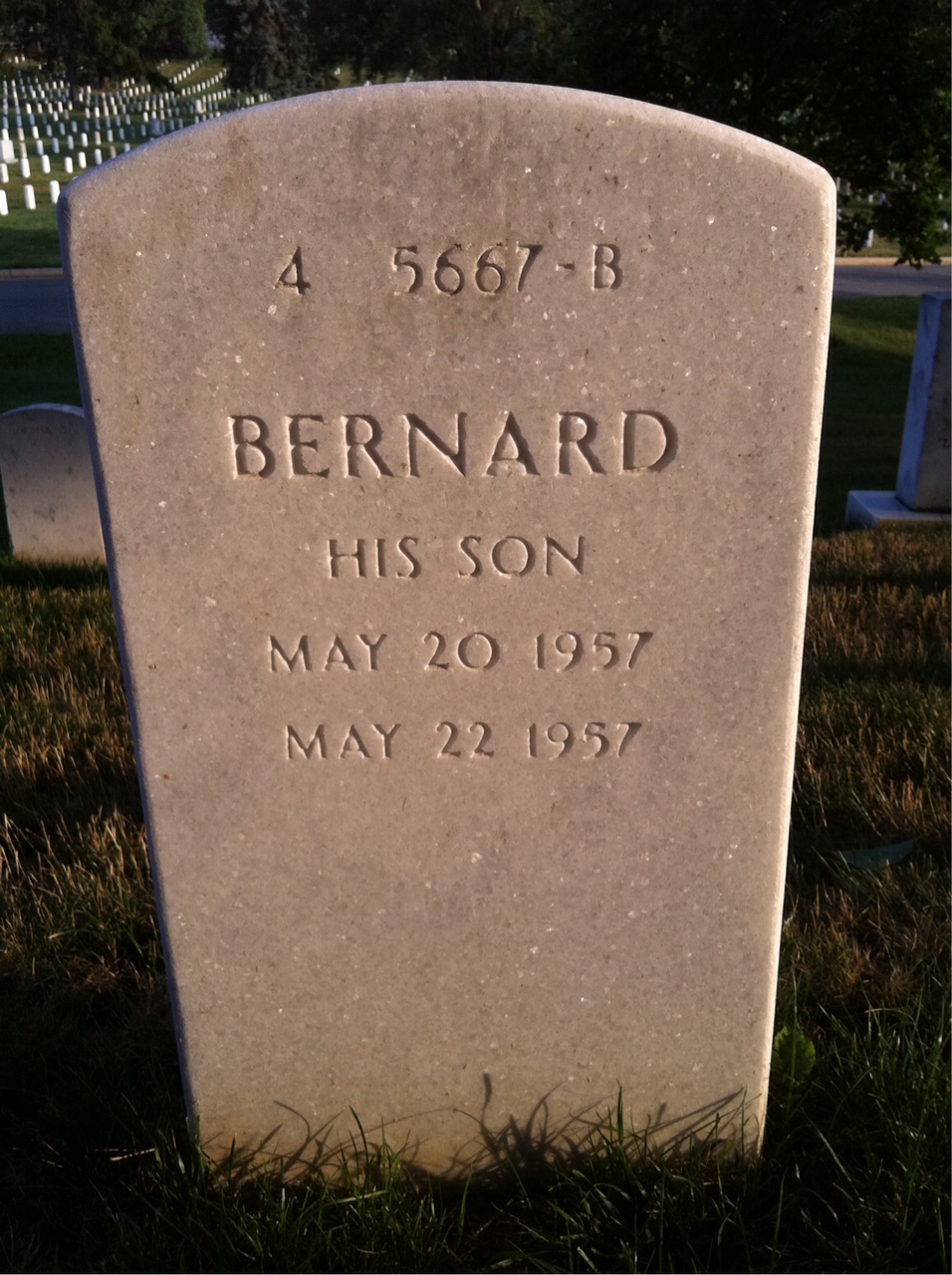 Back of headstone — Wayne Owens