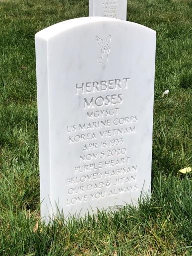 Herbert Moses