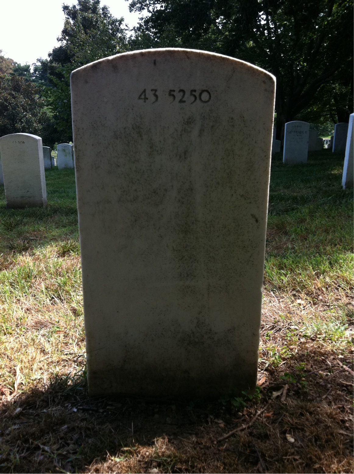 Back of headstone — Ray Aleshire