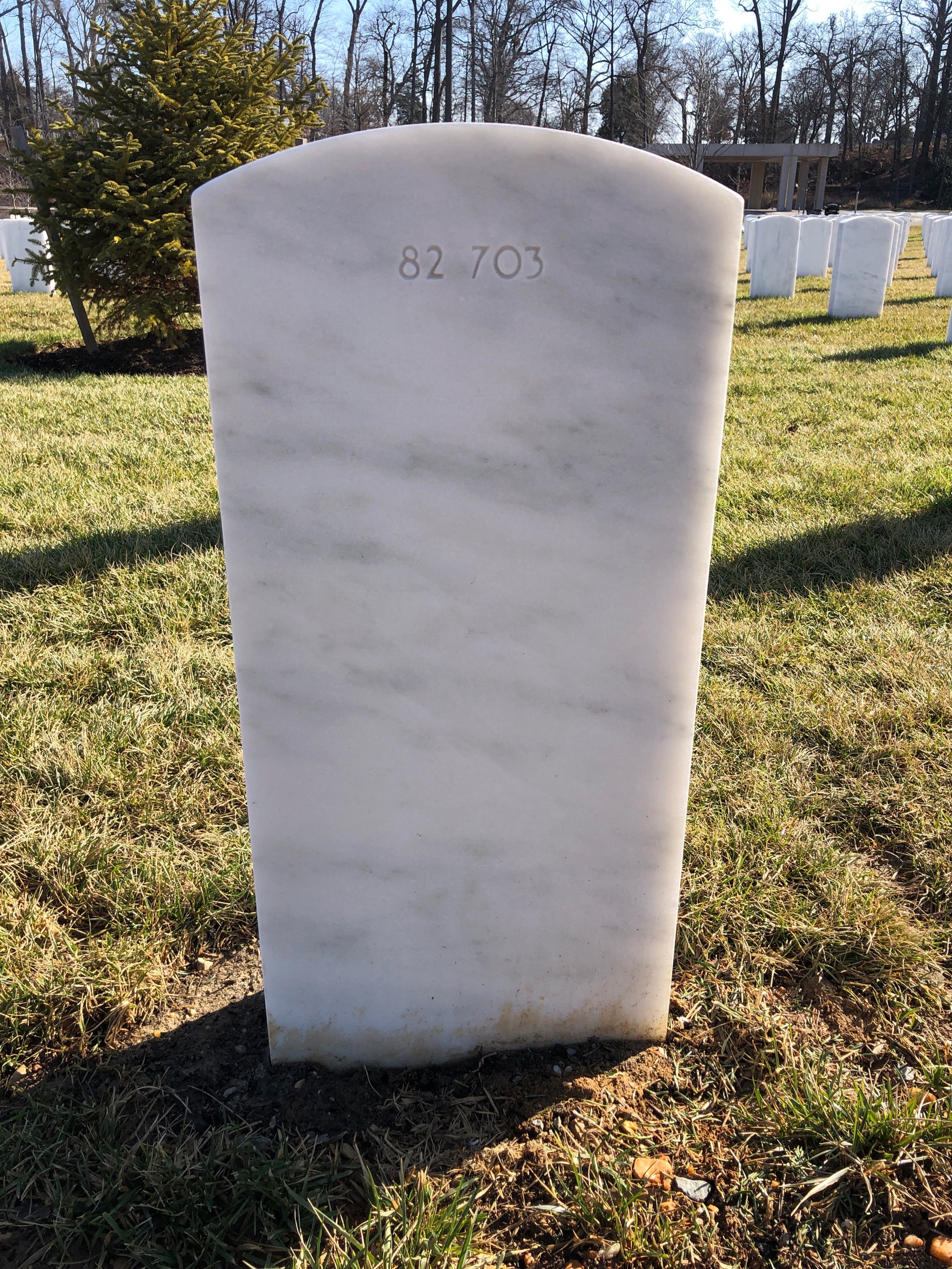 Back of headstone — Ronald Albers