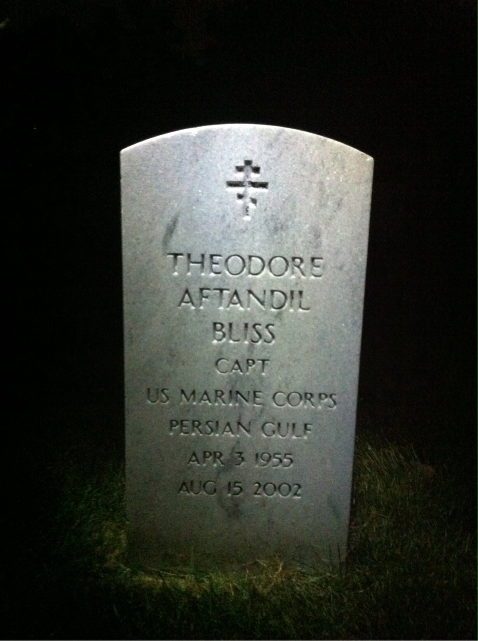 Theodore A Bliss
