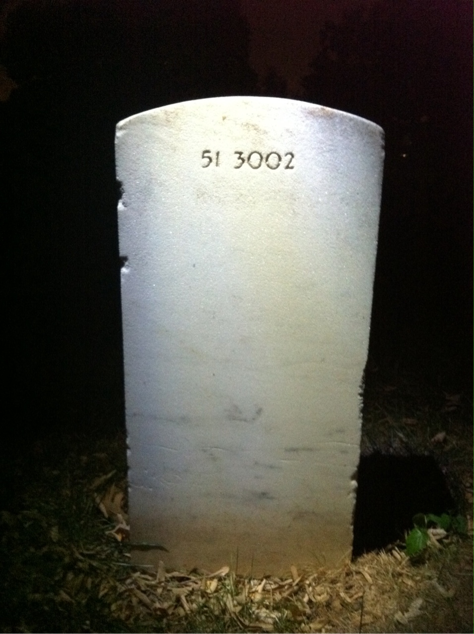 Back of headstone — Patrick Mcnelis