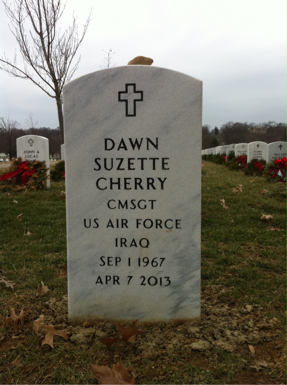 Dawn Suzette Cherry