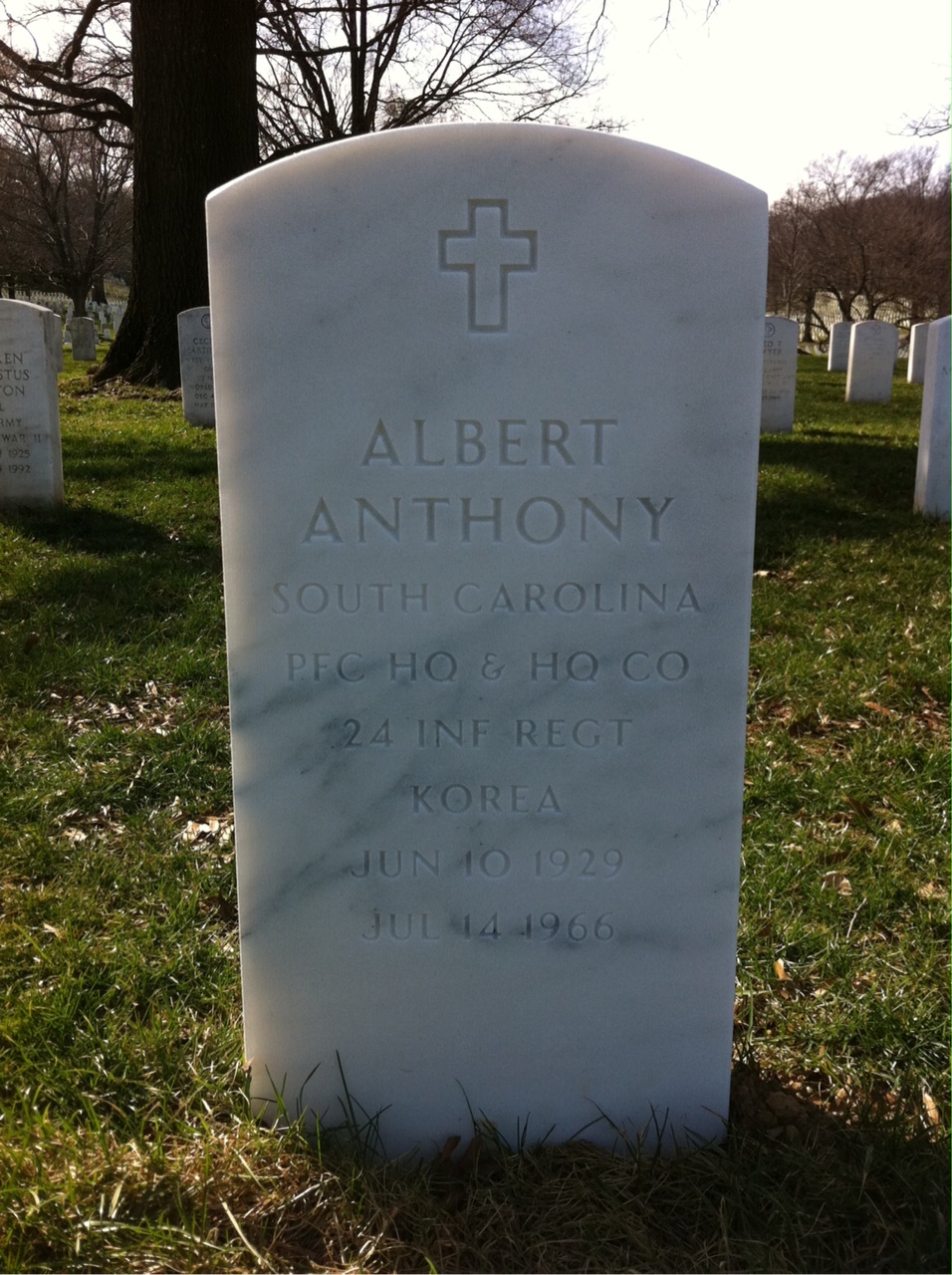 Albert Anthony
