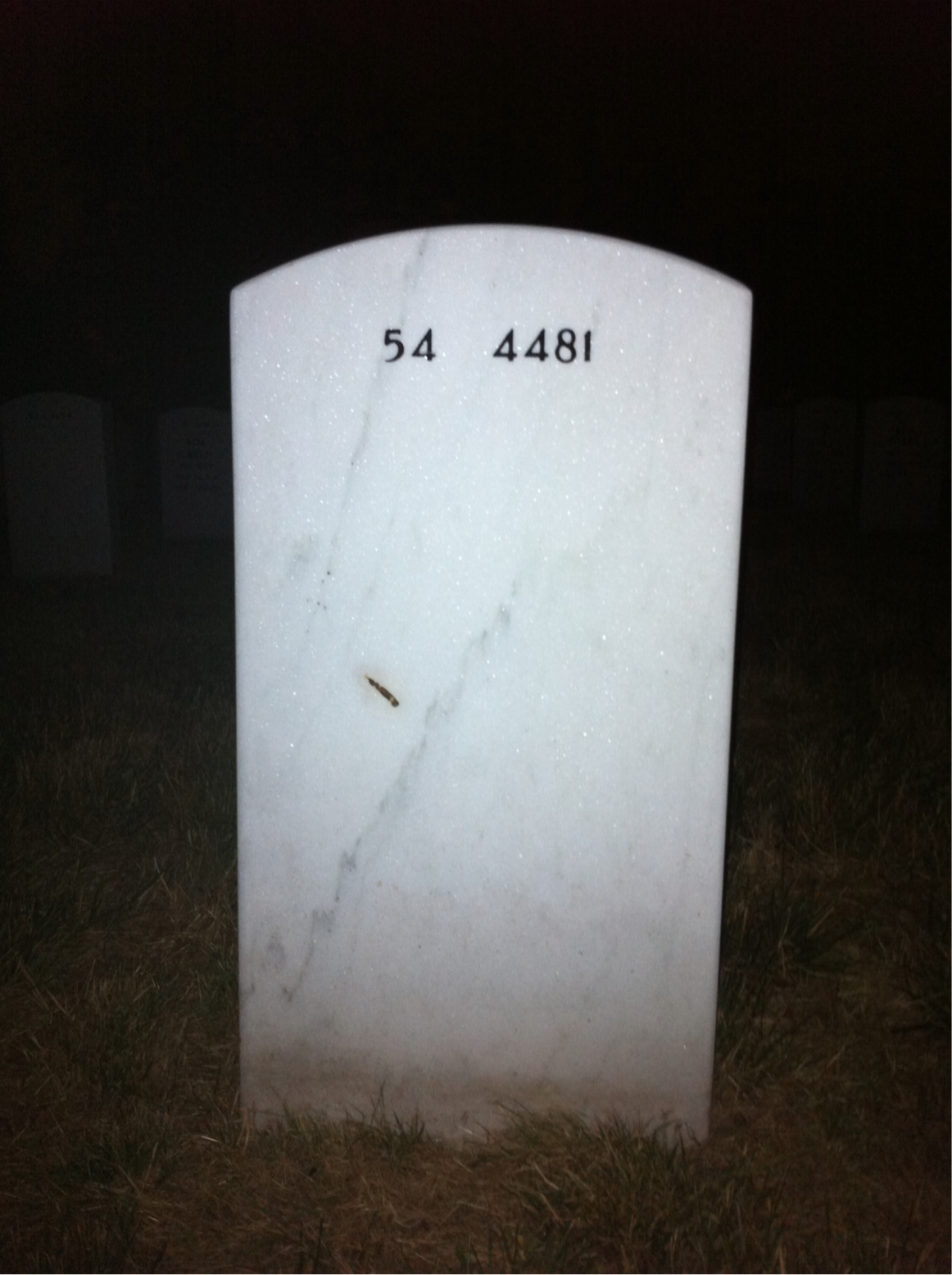 Back of headstone — David Lukasik