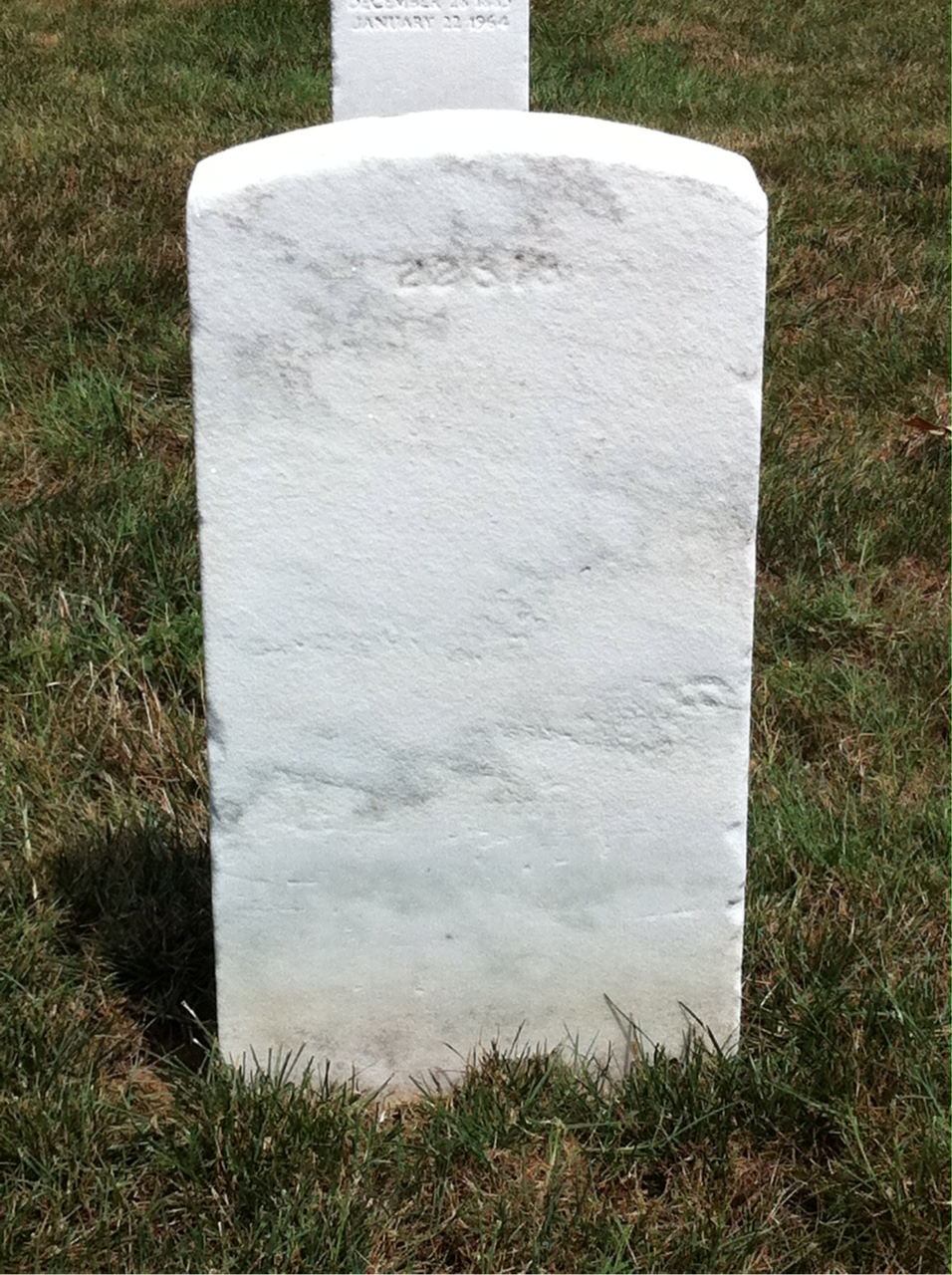 Back of headstone — Lewis Bacon