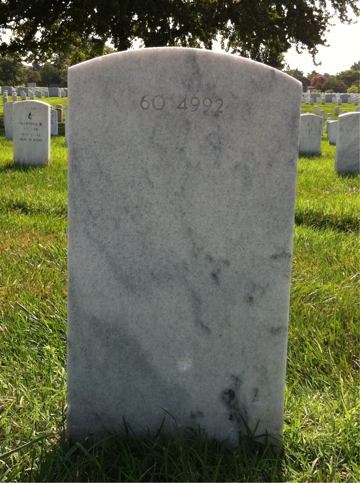 Back of headstone — Vincent Depaul Louis