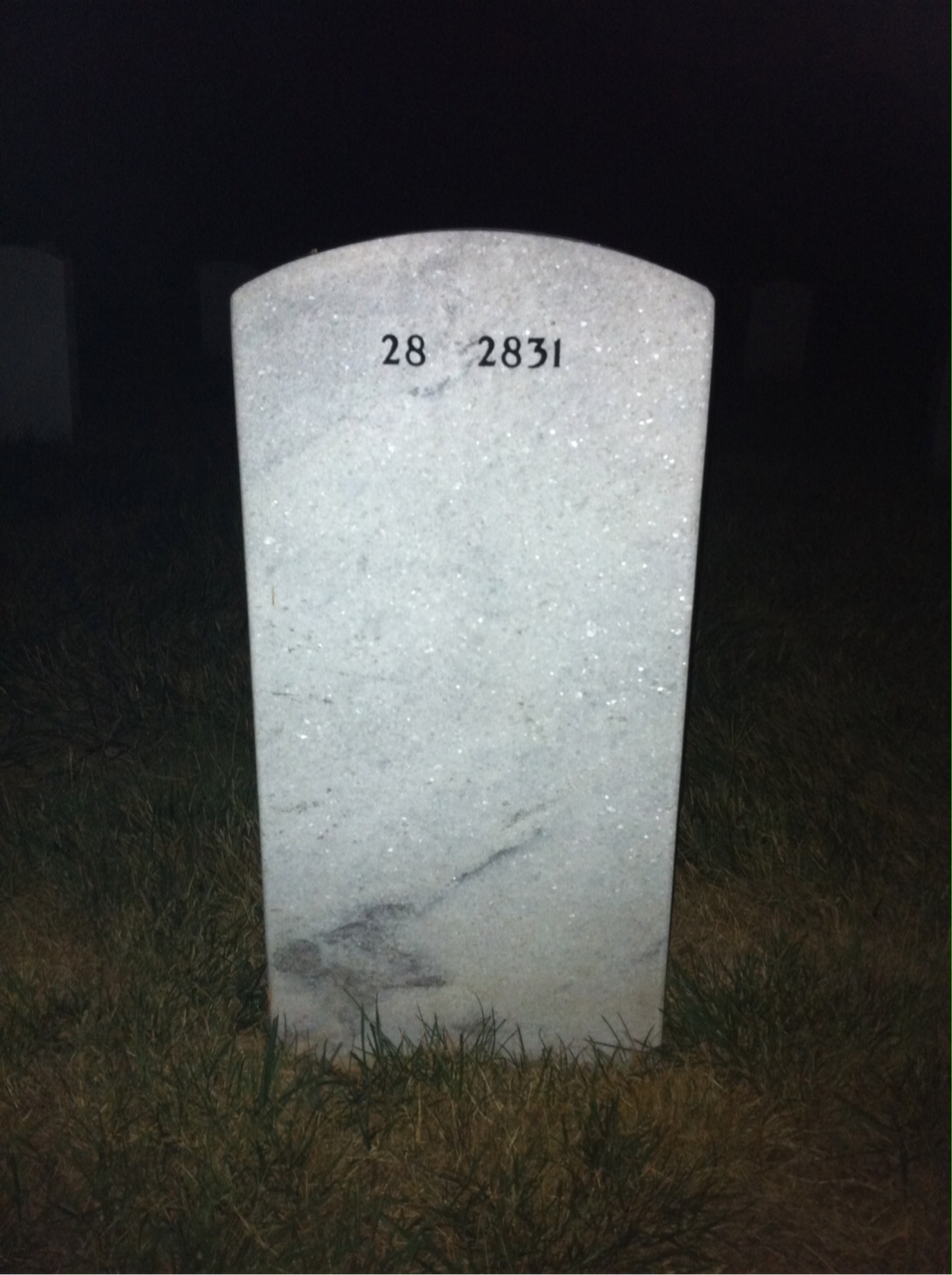 Back of headstone — William Pippel