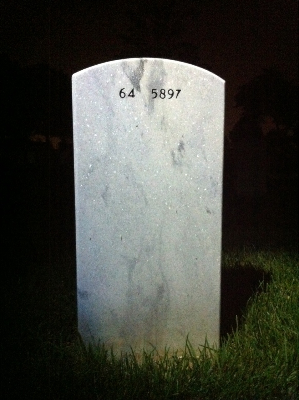 Back of headstone — Steven Vincent