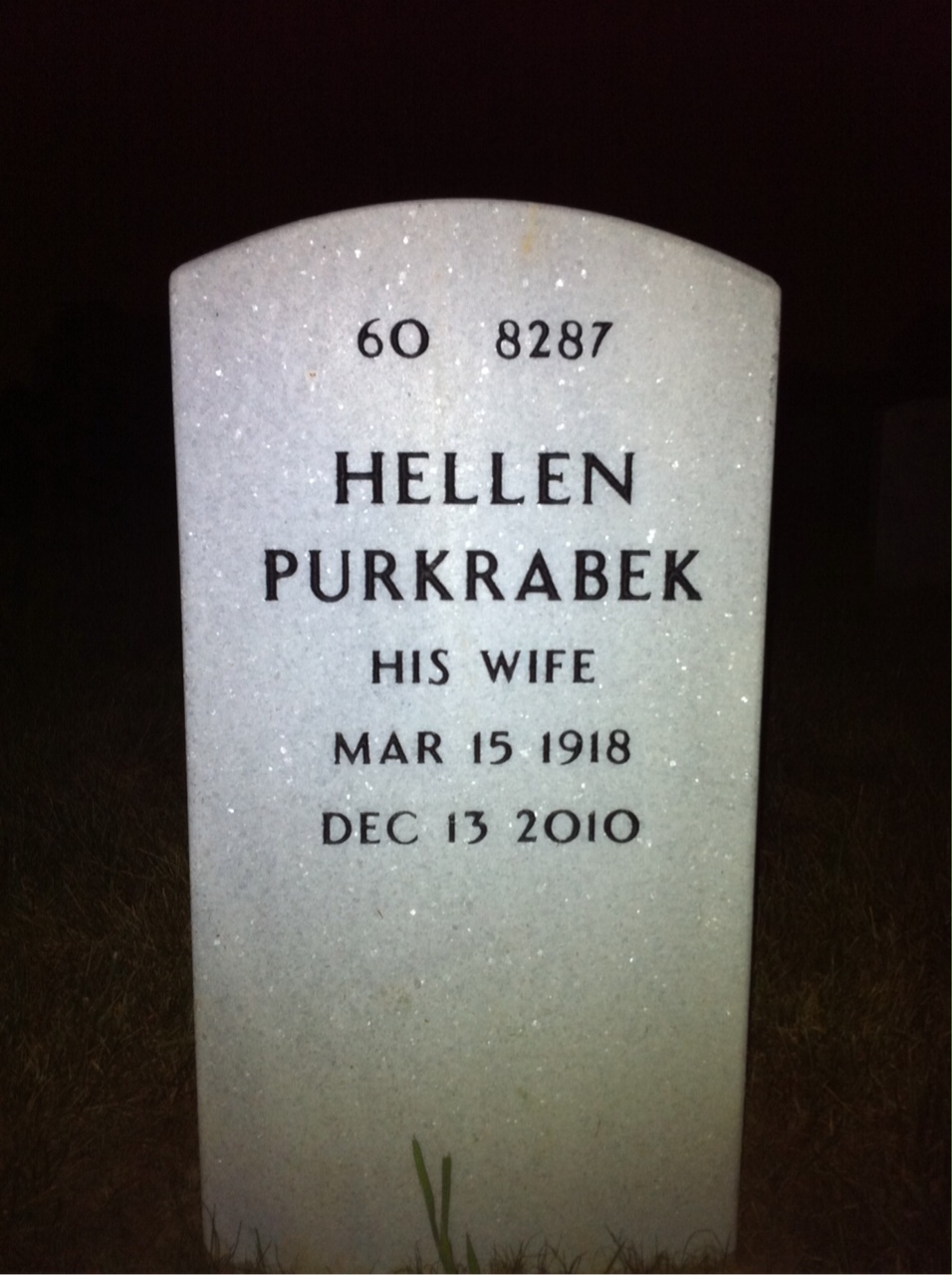 Back of headstone — Theodore Winters