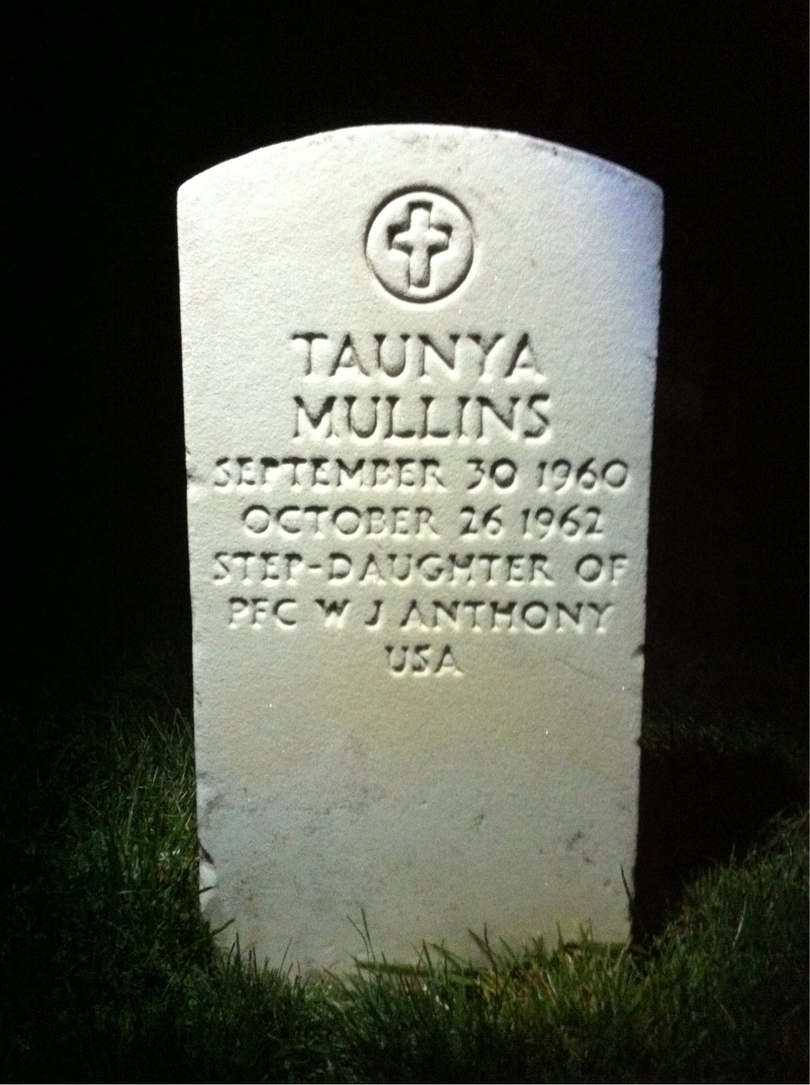 Taunya Mullins