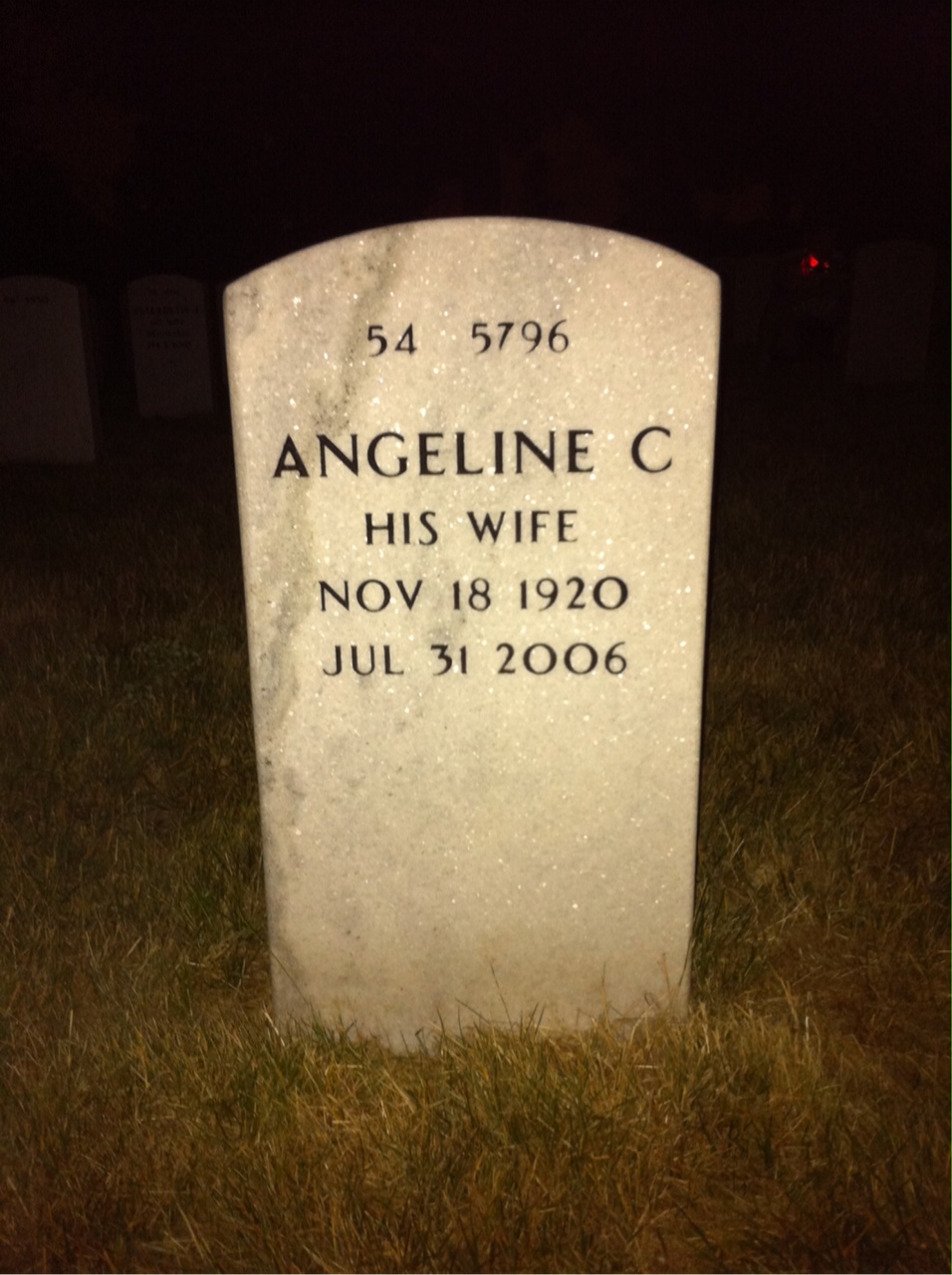 Back of headstone — William Ogo