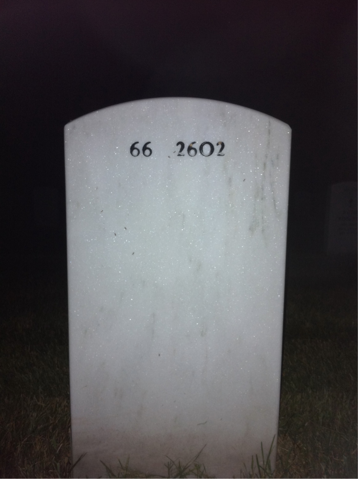 Back of headstone — David Wilson