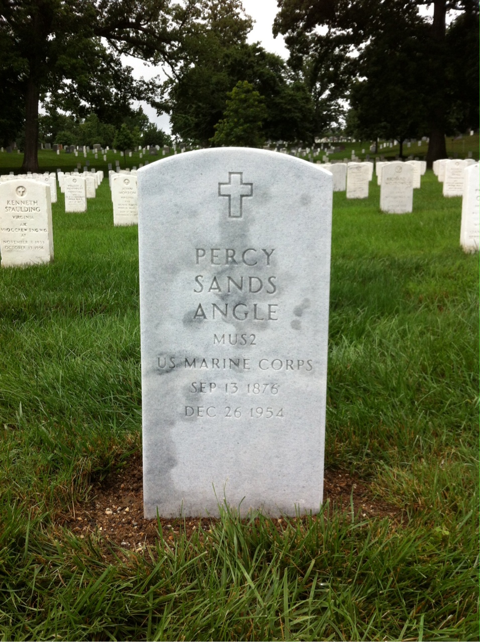 Melvin Angle