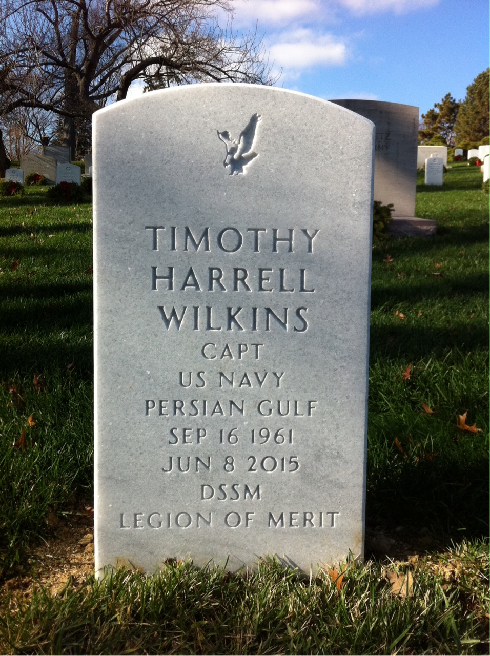 Timothy H Wilkins