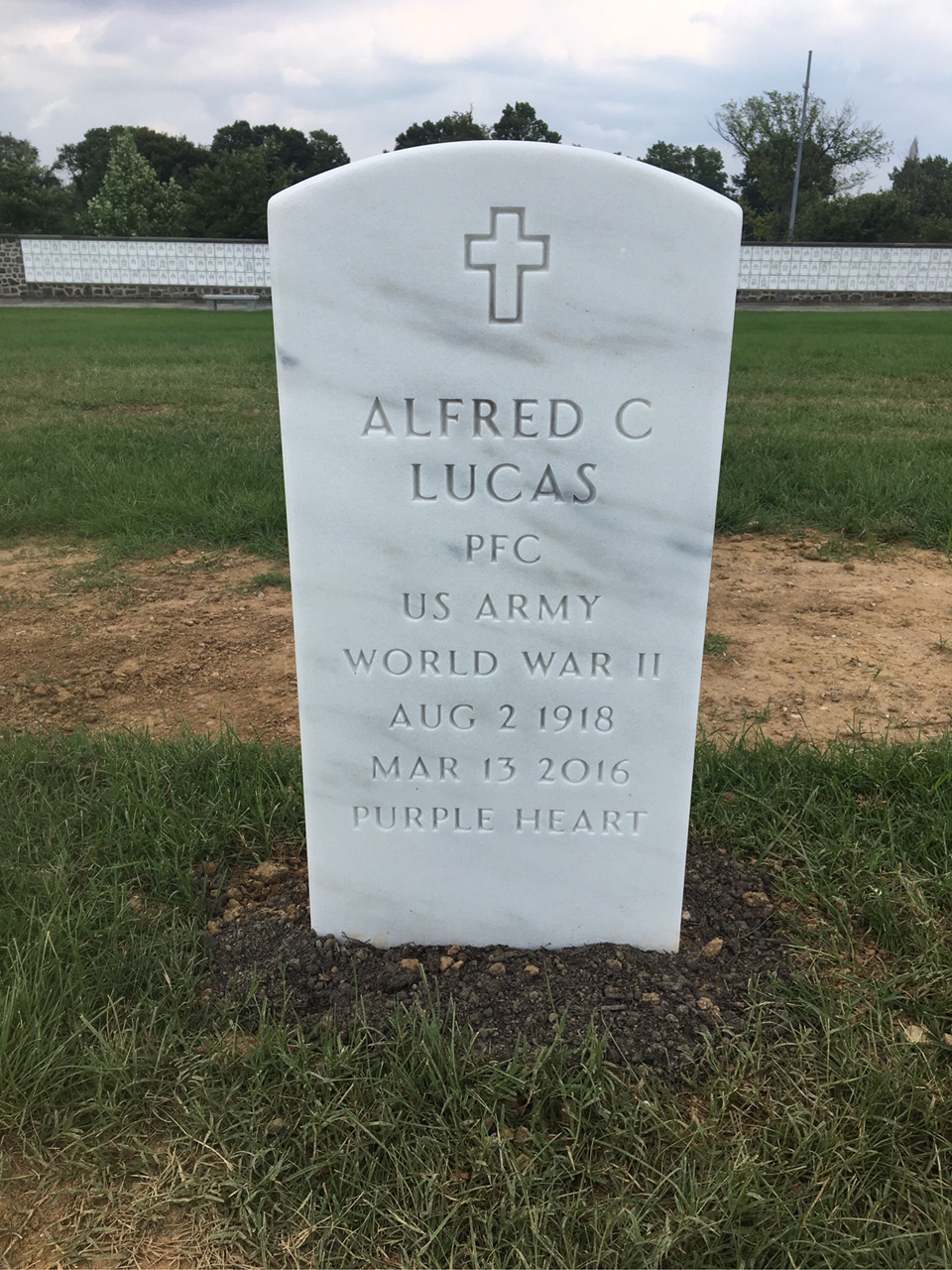 Alfred Lucas