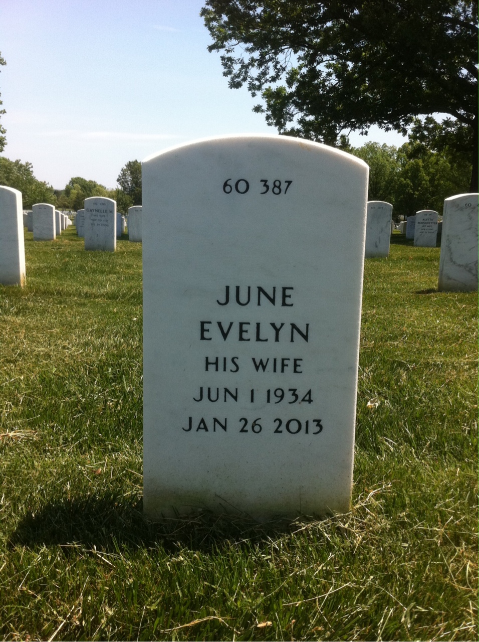 Back of headstone — Alden Anderson