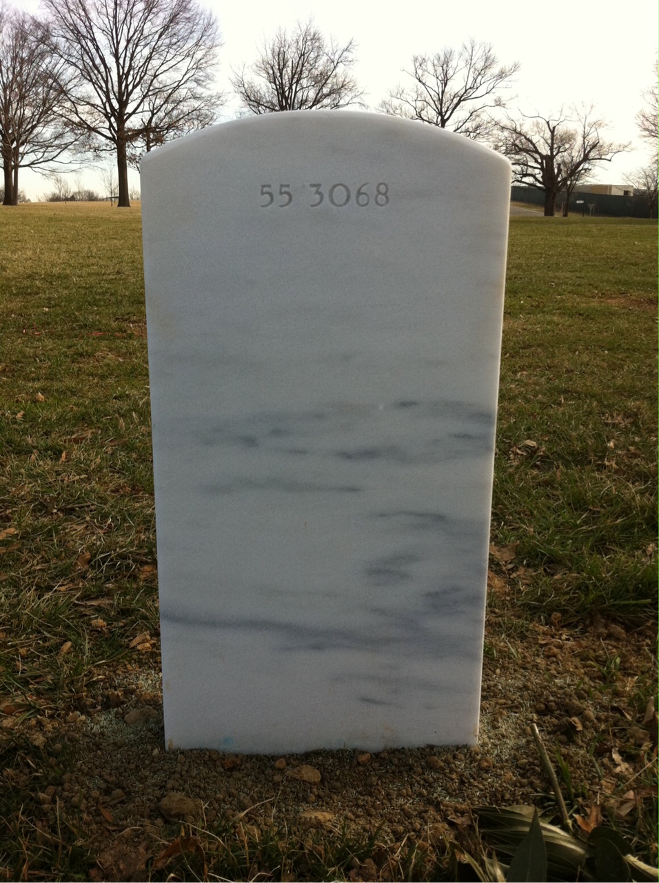 Back of headstone — John Bachman