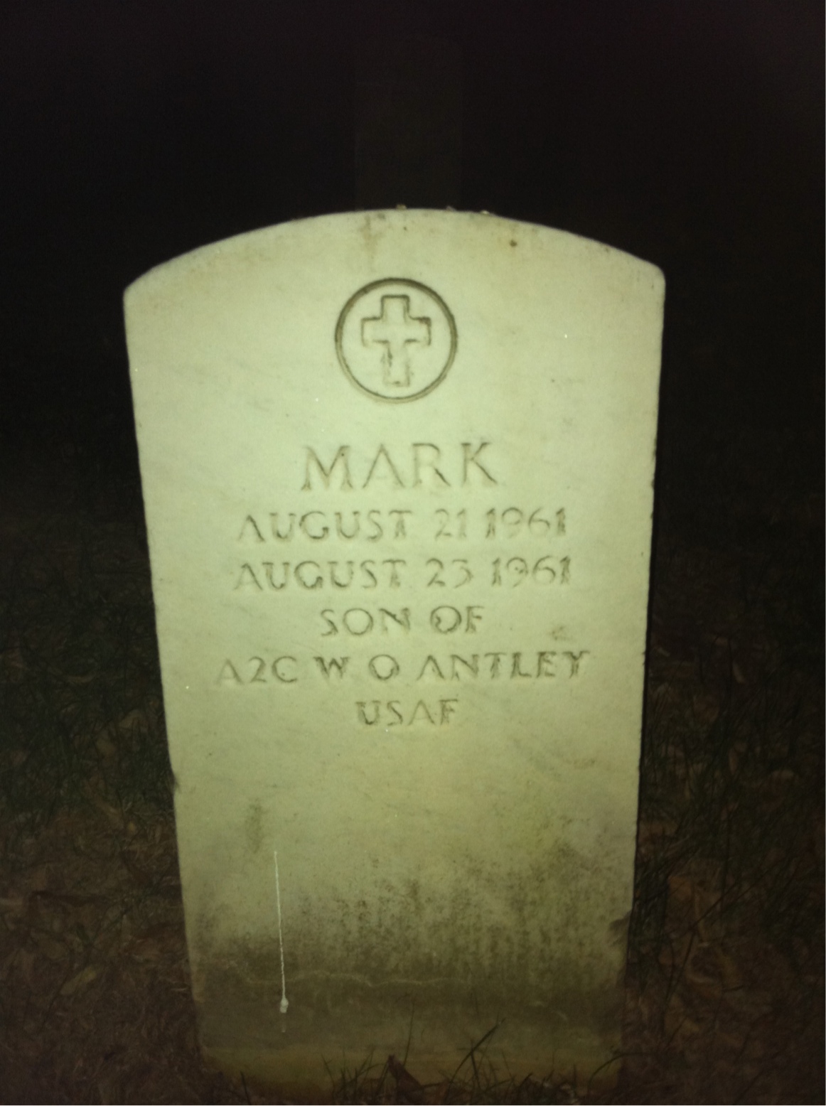 Mark Antley