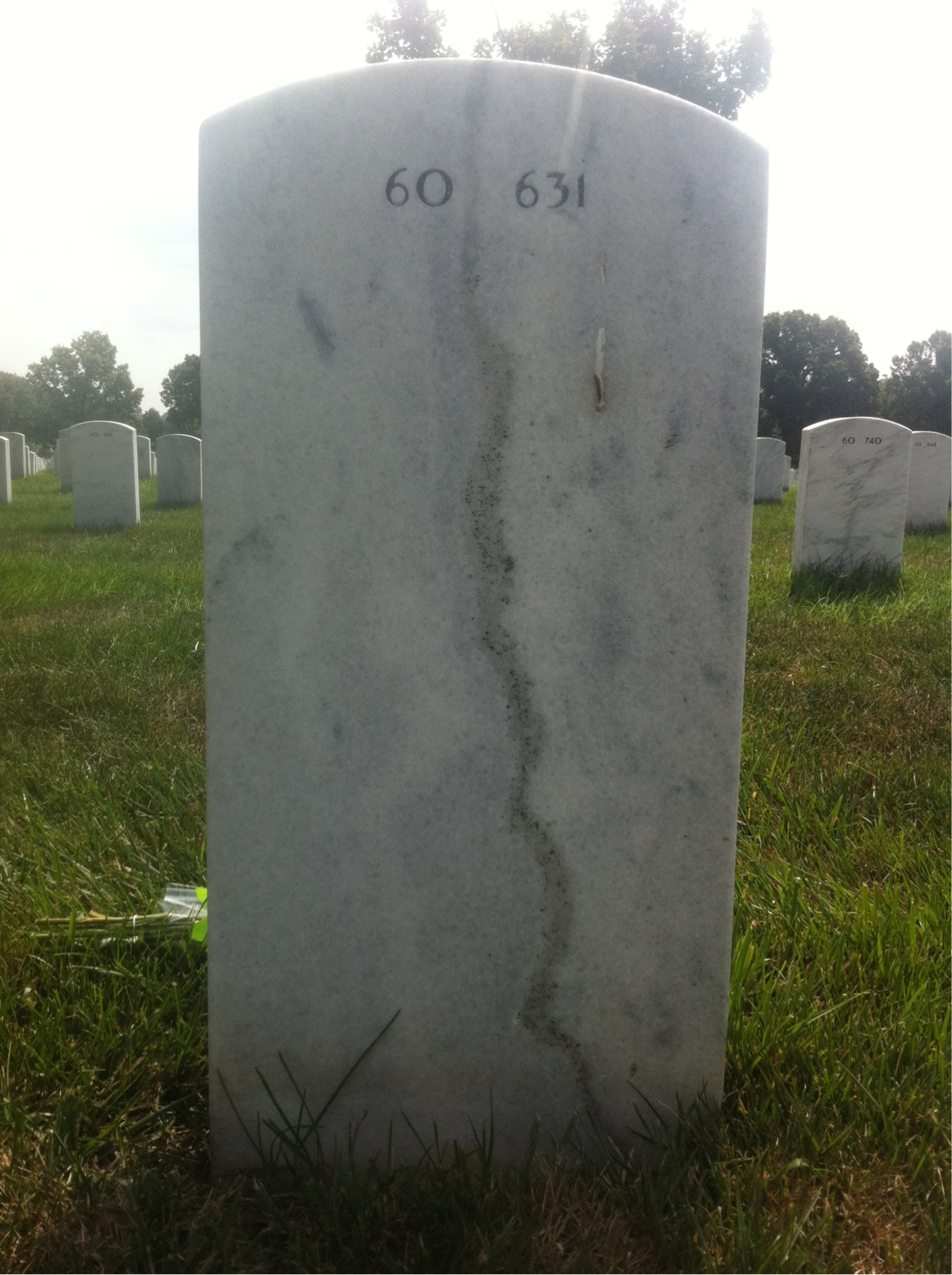 Back of headstone — Marcia Brown