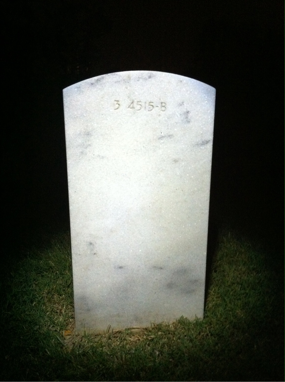 Back of headstone — Elliott Mitchell
