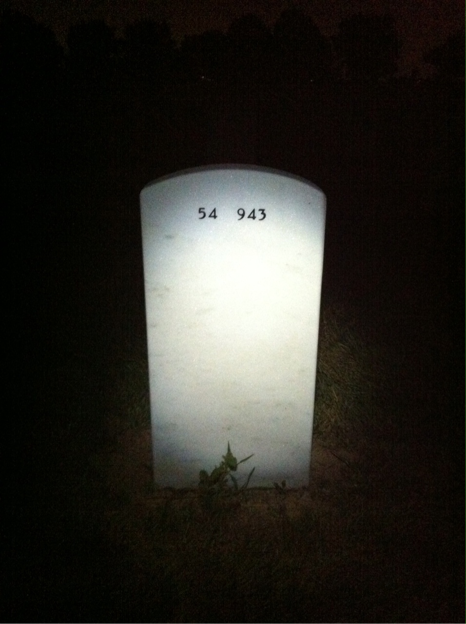 Back of headstone — James Mcalister
