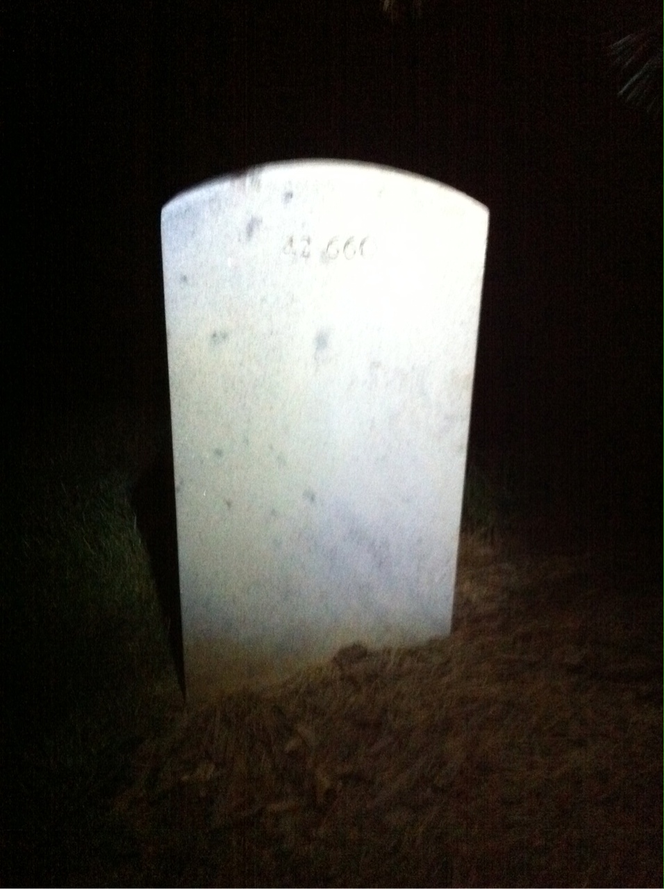 Back of headstone — Alice Minkler