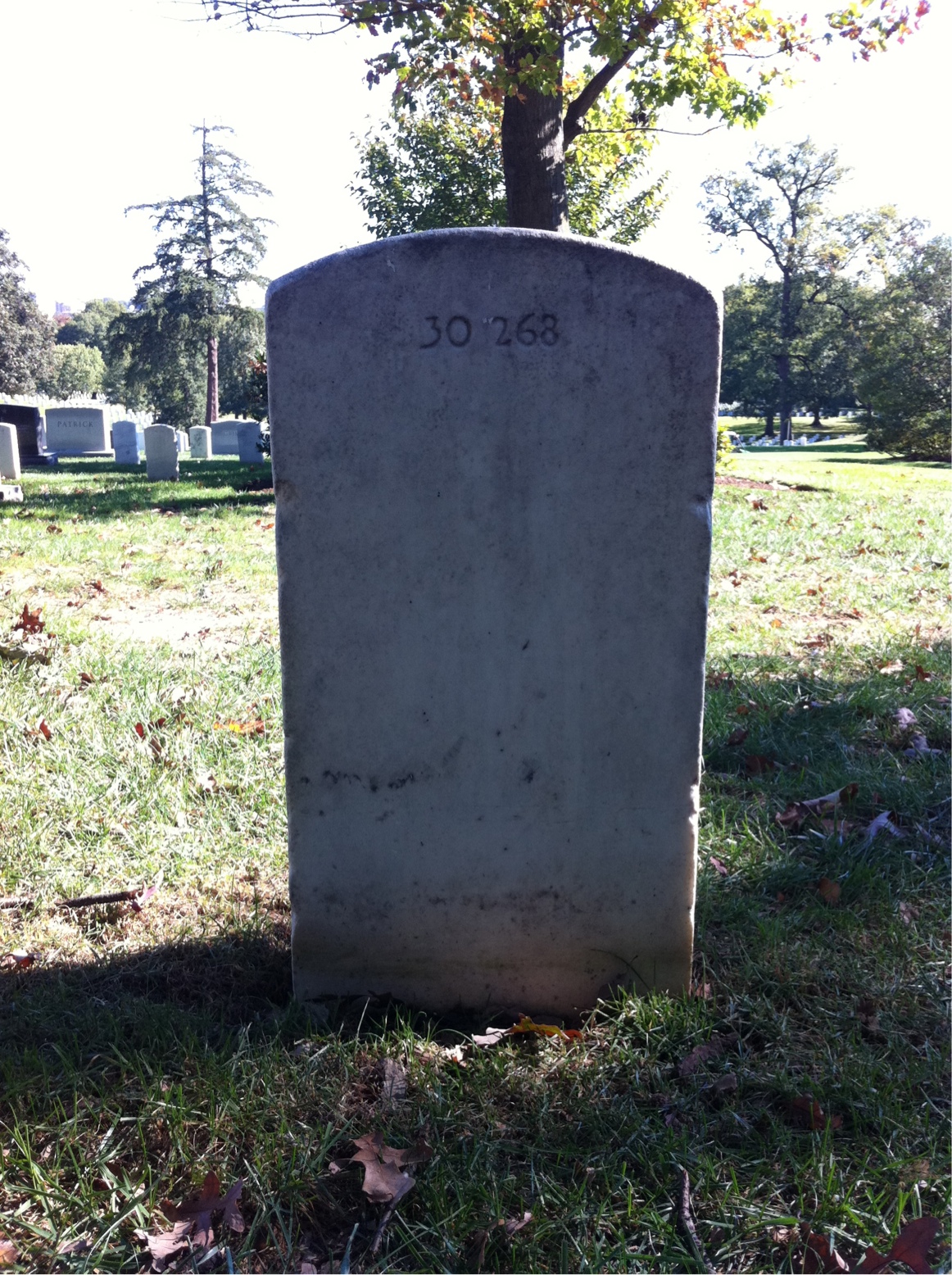 Back of headstone — Alford Williams