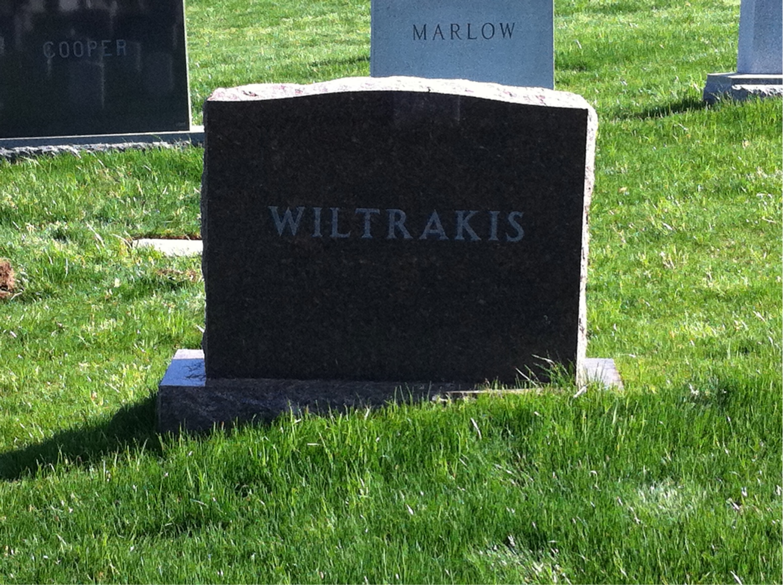 Back of headstone — Edward Wiltrakis