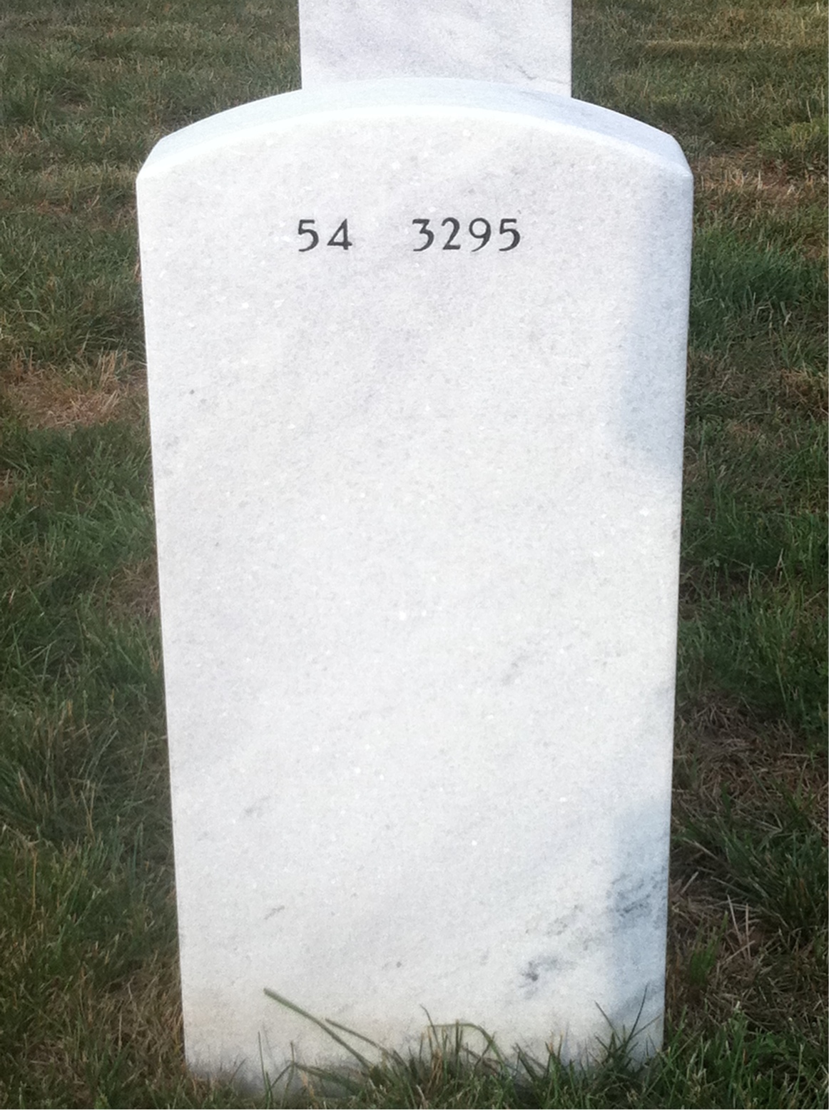 Back of headstone — Newton Davis
