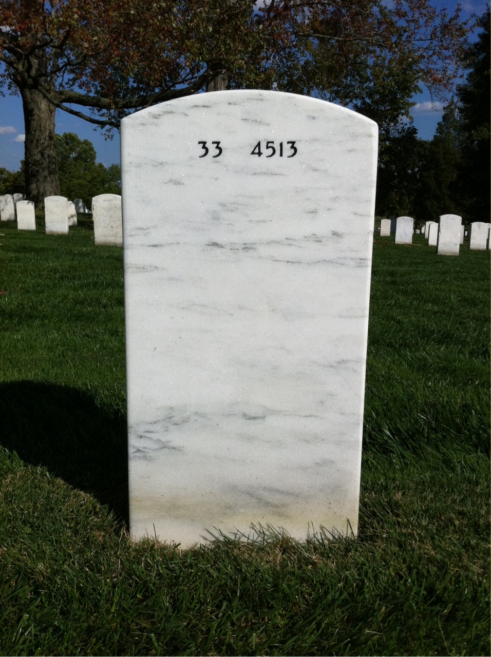 Back of headstone — Theodore Perry