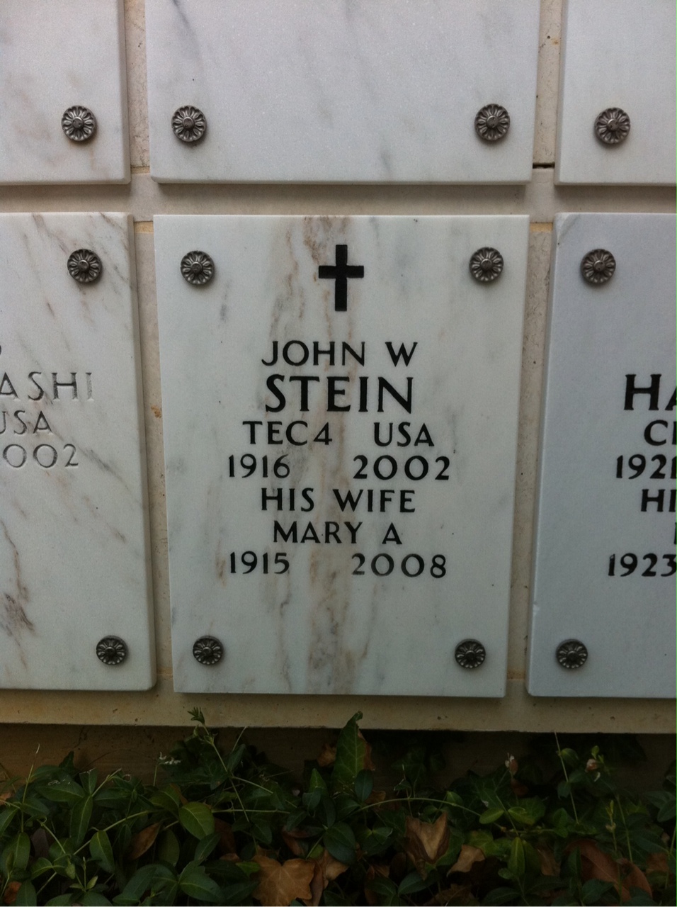 John Stein
