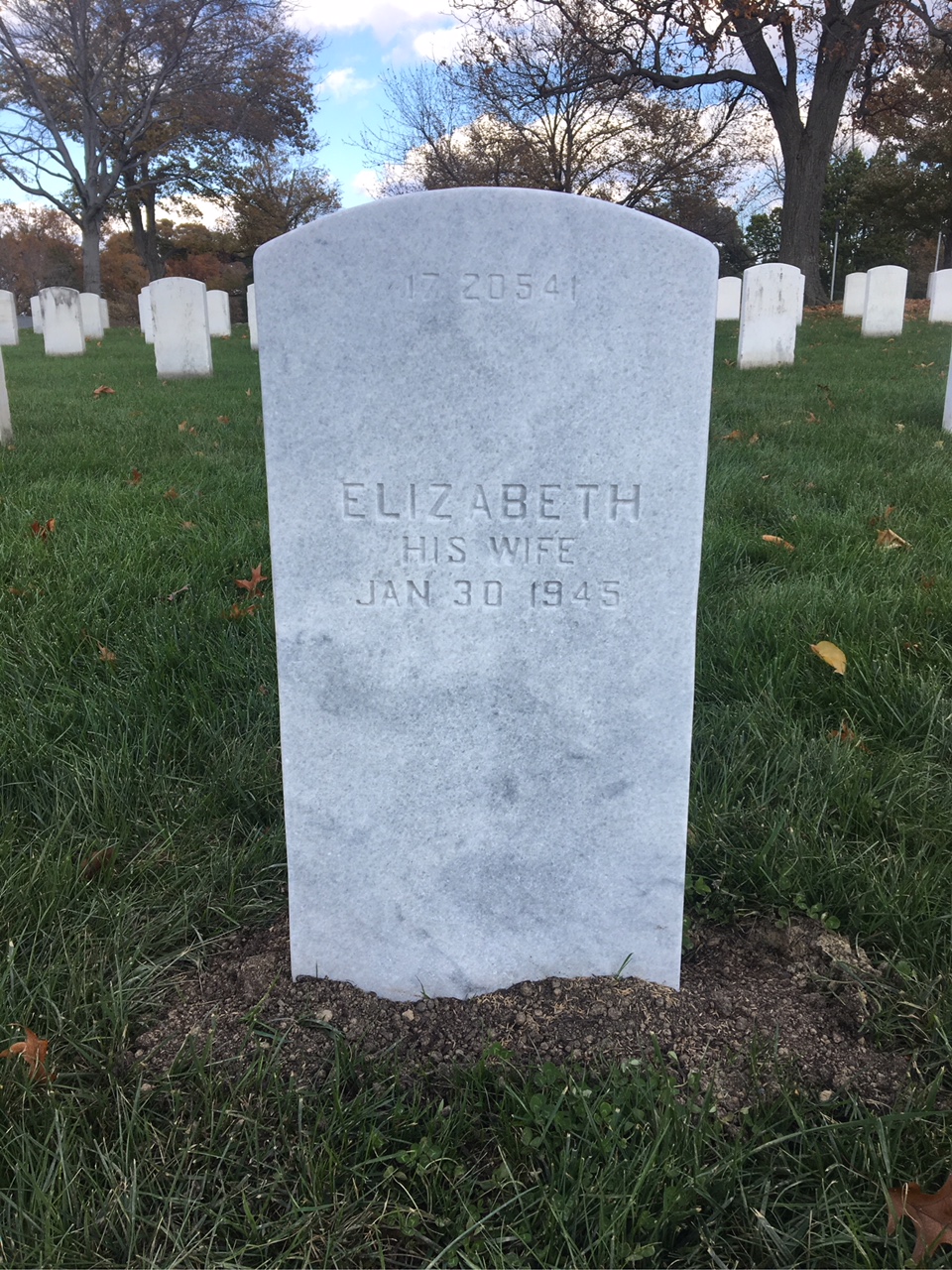 Back of headstone — Edwin Aldrich